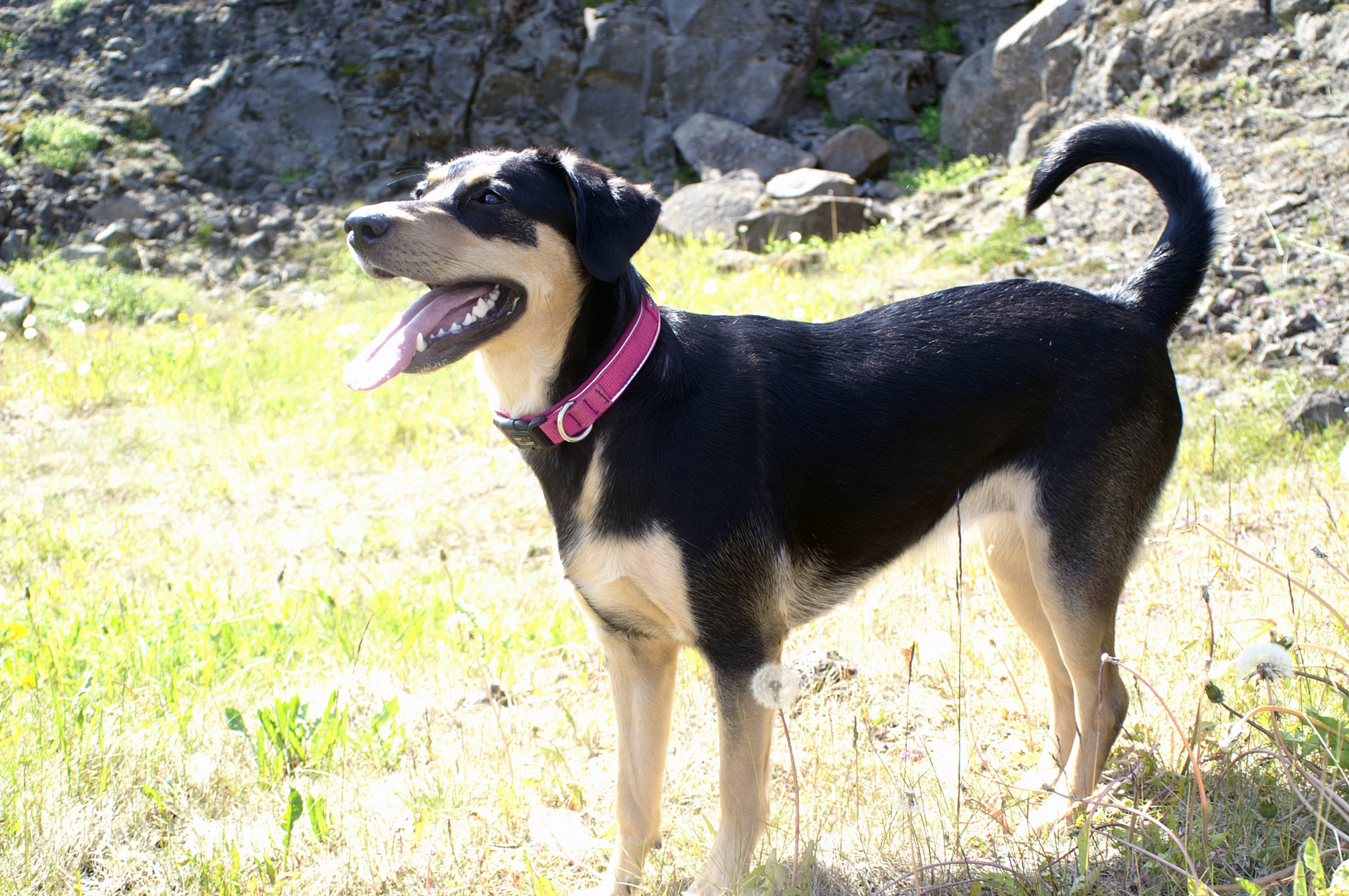 KONICA MINOLTA MAXXUM 5D sample photo. Lady enjoying the outdoors photography