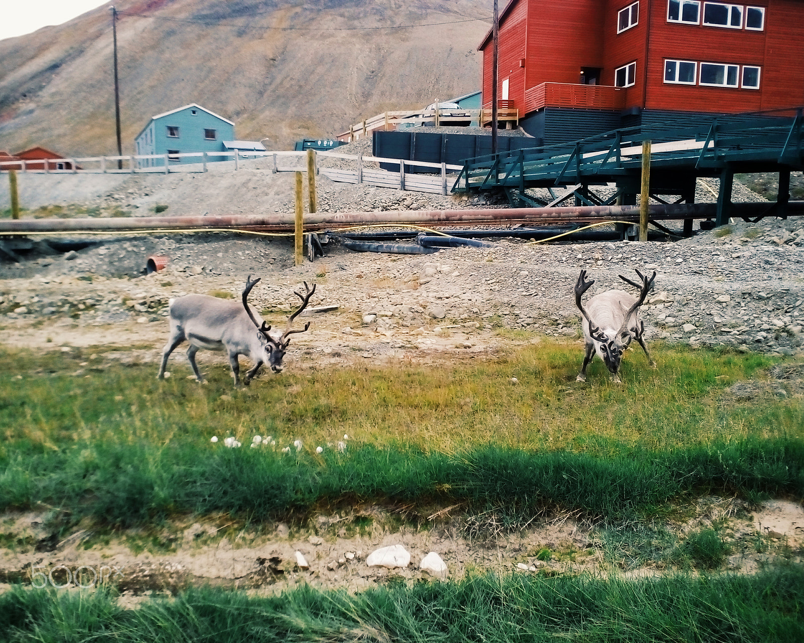 elephone P6000 5.0 01 sample photo. Spitsbergen view photography