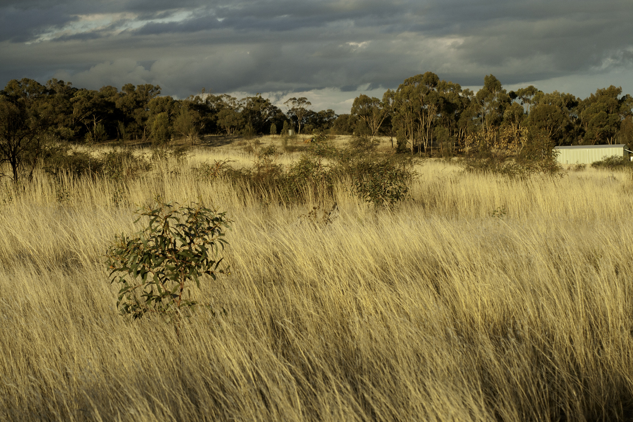 Canon EF 28-90mm f/4-5.6 sample photo. Camp photography
