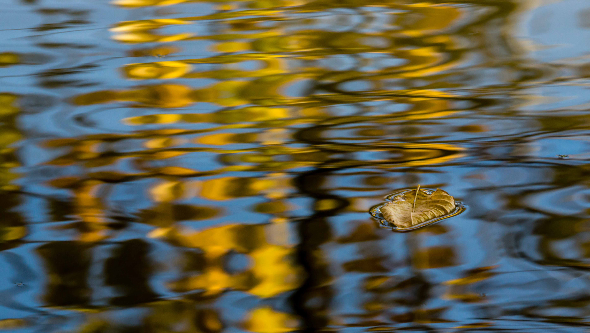 Sony 70-400mm F4-5.6 G SSM II sample photo. Fall reflections photography