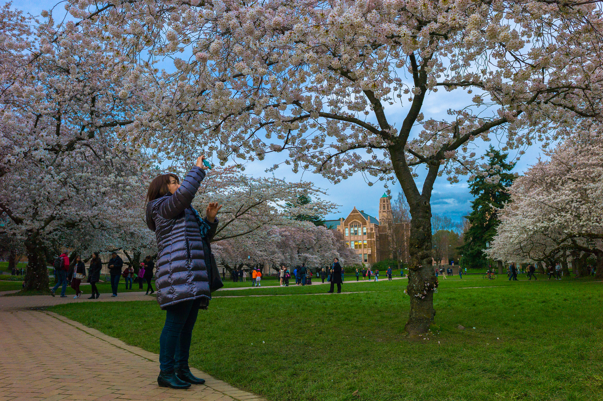 Leica M9 + Leica Elmarit-M 28mm f/2.8 (IV) sample photo. Uw sakura with harue photography