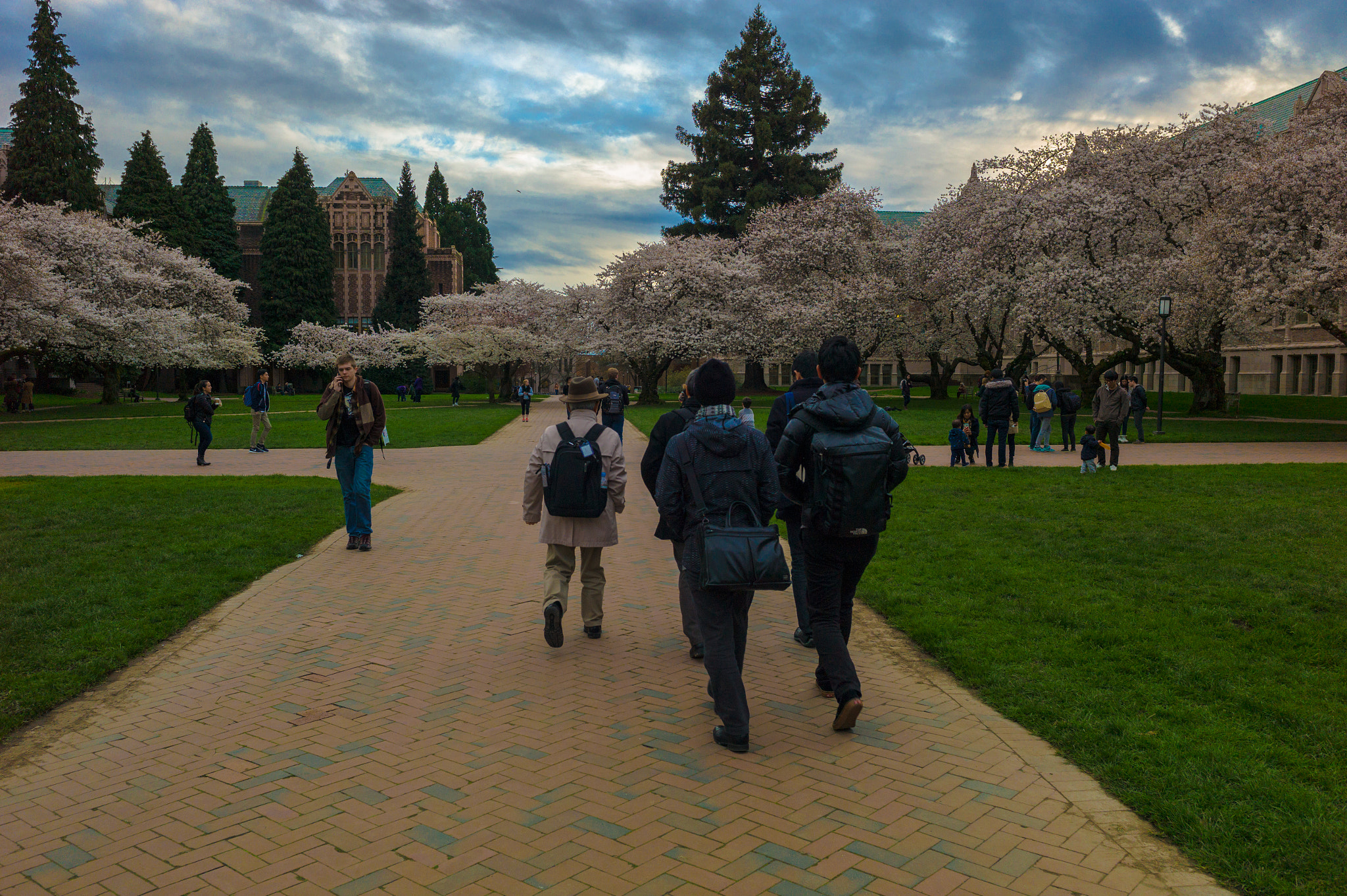 Leica Elmarit-M 28mm f/2.8 (IV) sample photo. Uw sakura photography