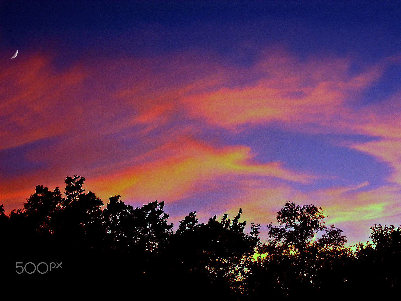 CASIO EX-S5 sample photo. Sky shark photography
