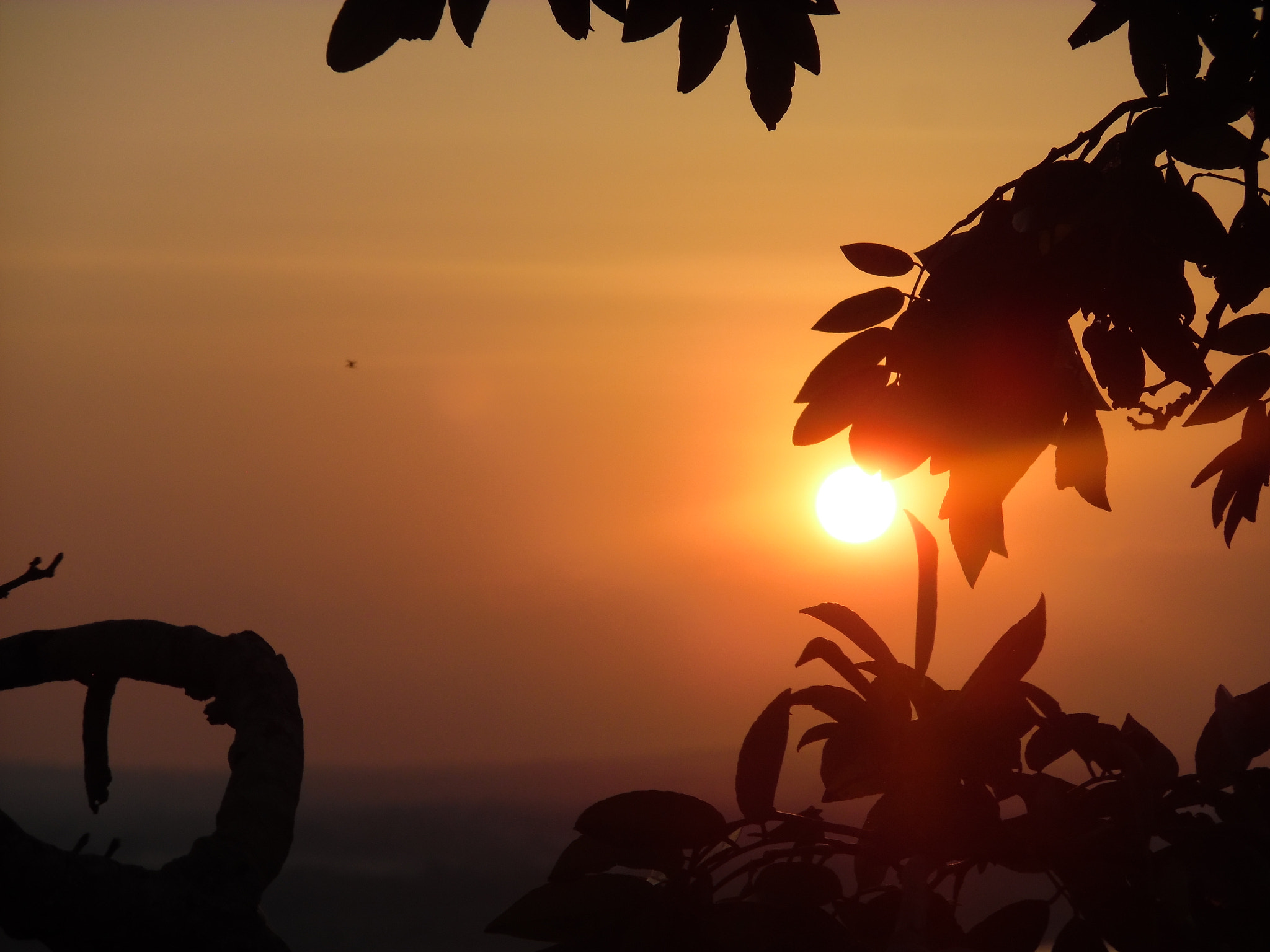 Samsung WB50F/WB51F/WB52F sample photo. Sam_3120.jpg photography