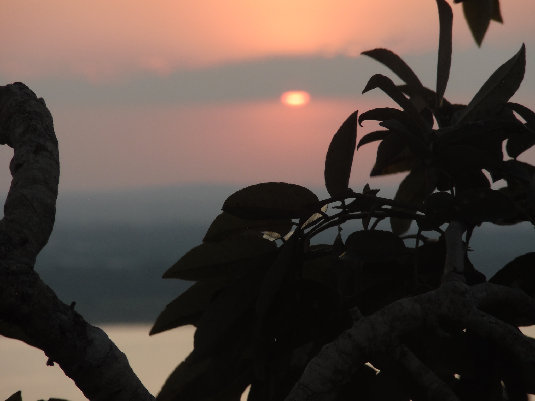 Samsung WB50F/WB51F/WB52F sample photo. Sam_3125.jpg photography