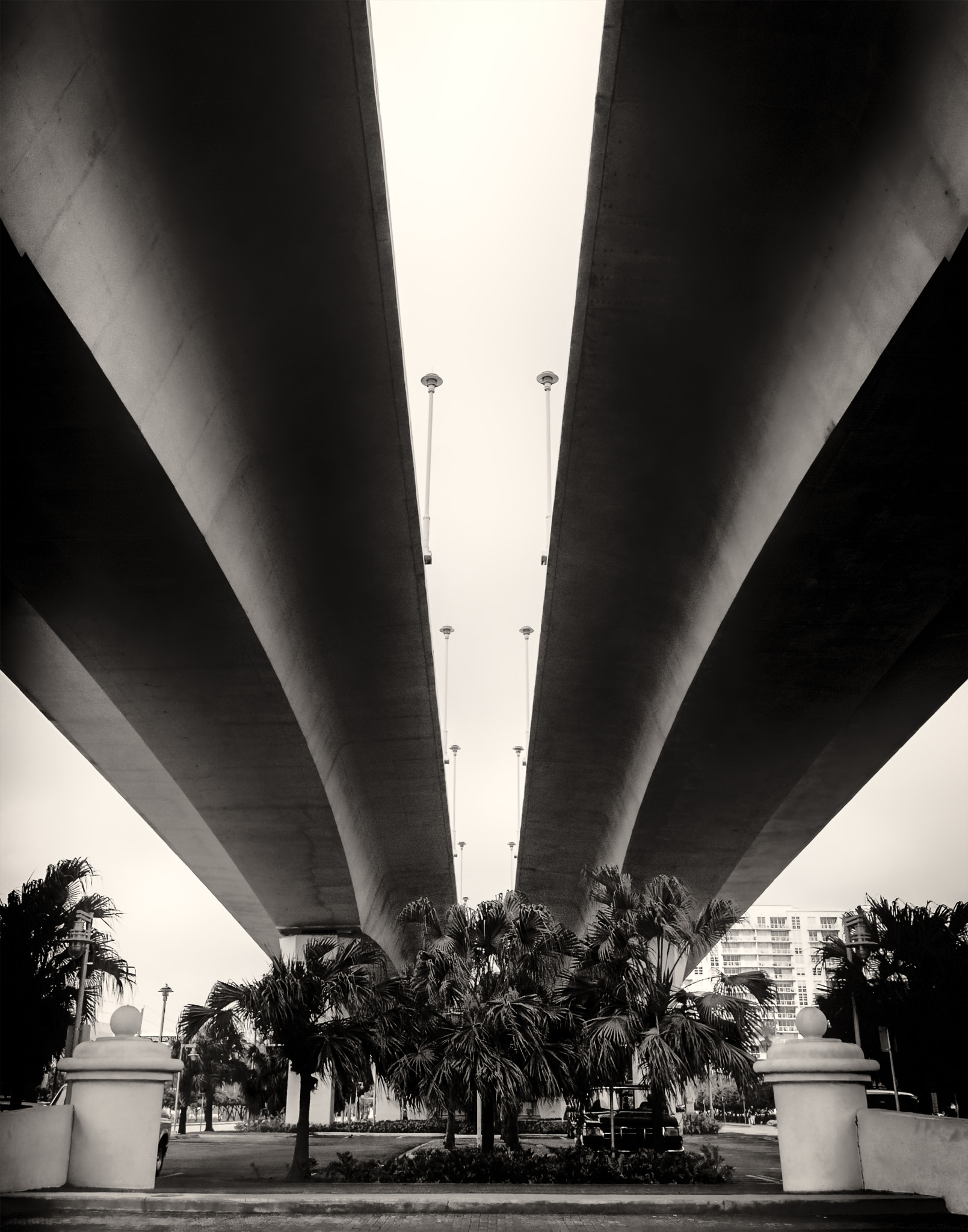 Nikon AF-S Nikkor 14-24mm F2.8G ED sample photo. Under fort lauderdale overpass photography