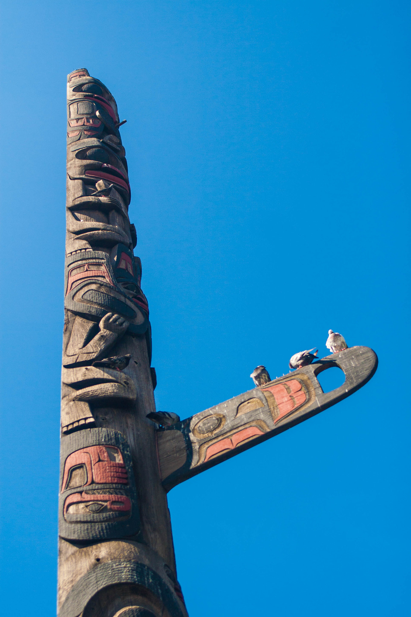 EF28-70mm f/2.8L USM sample photo. Birds on a pole photography