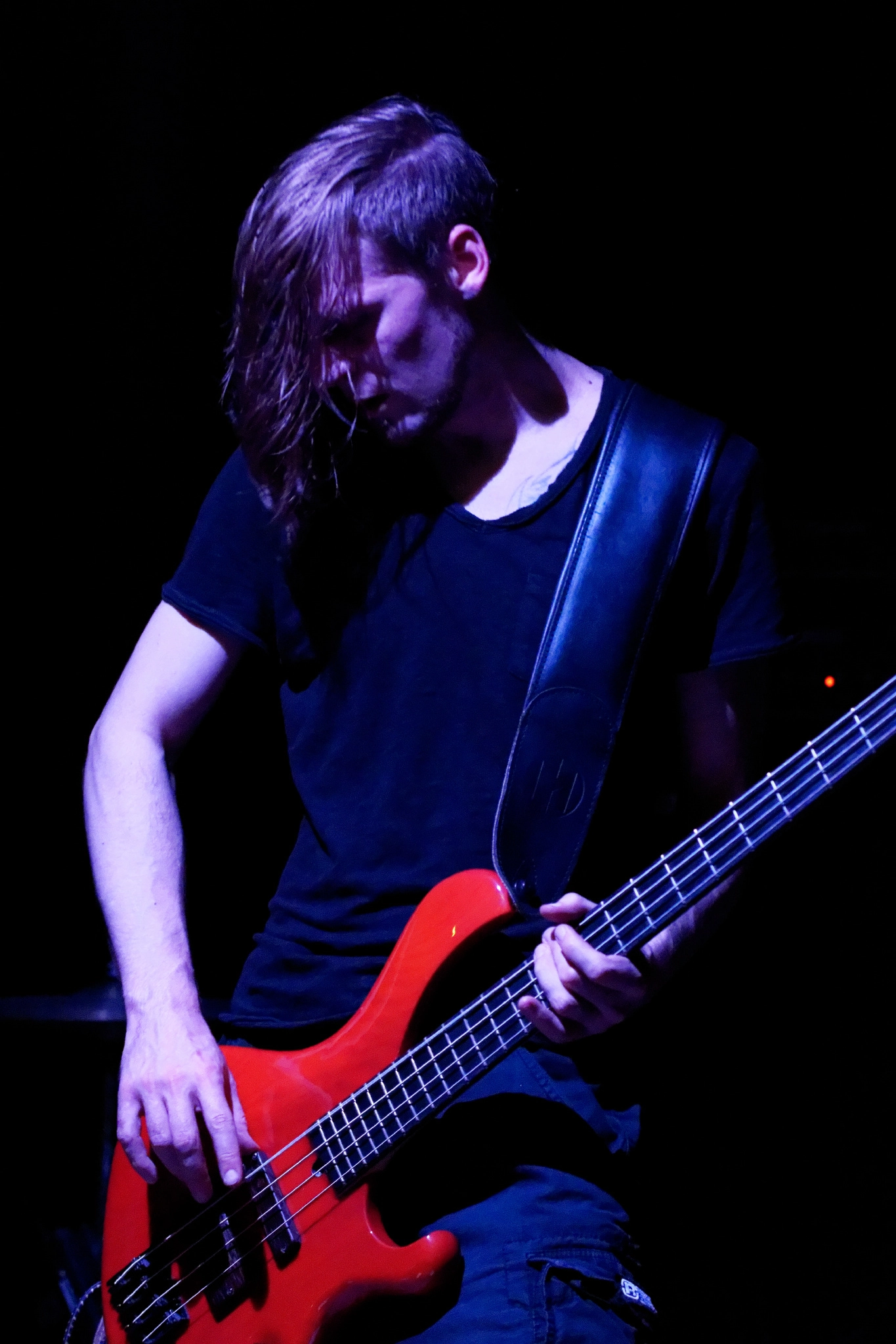 Sony 85mm F2.8 SAM sample photo. Sardaukar...bass. photography