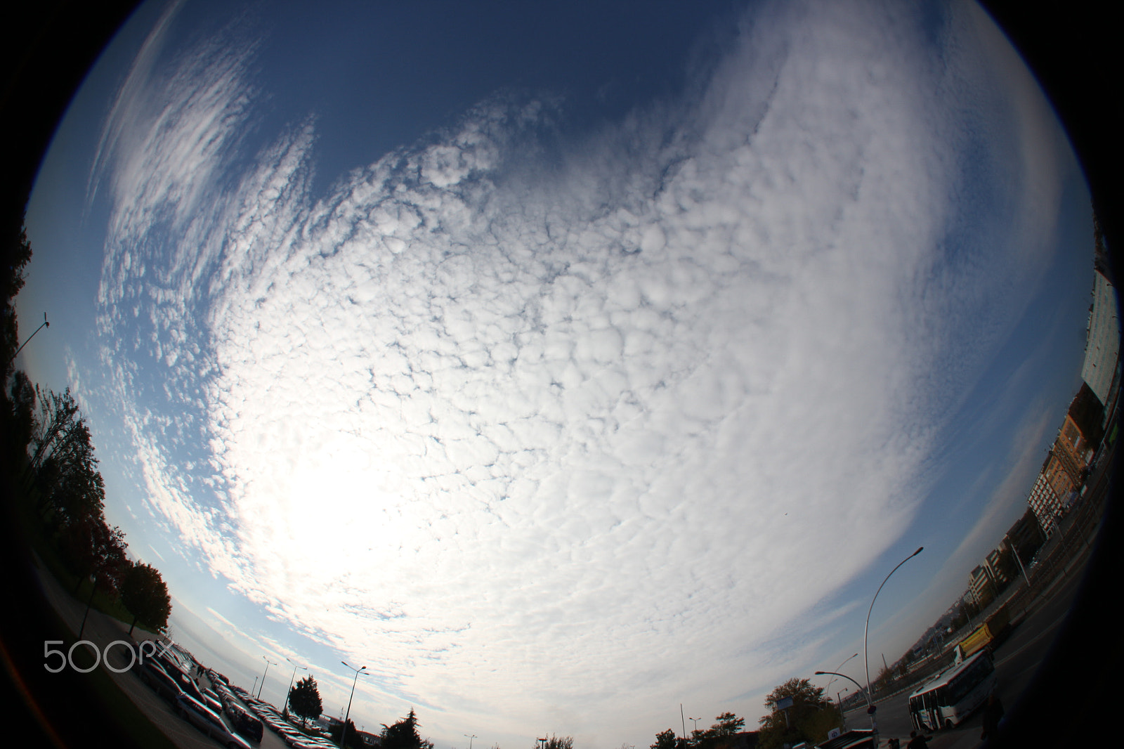 Sigma 8mm F3.5 EX DG Circular Fisheye sample photo. Img_7639.jpg photography