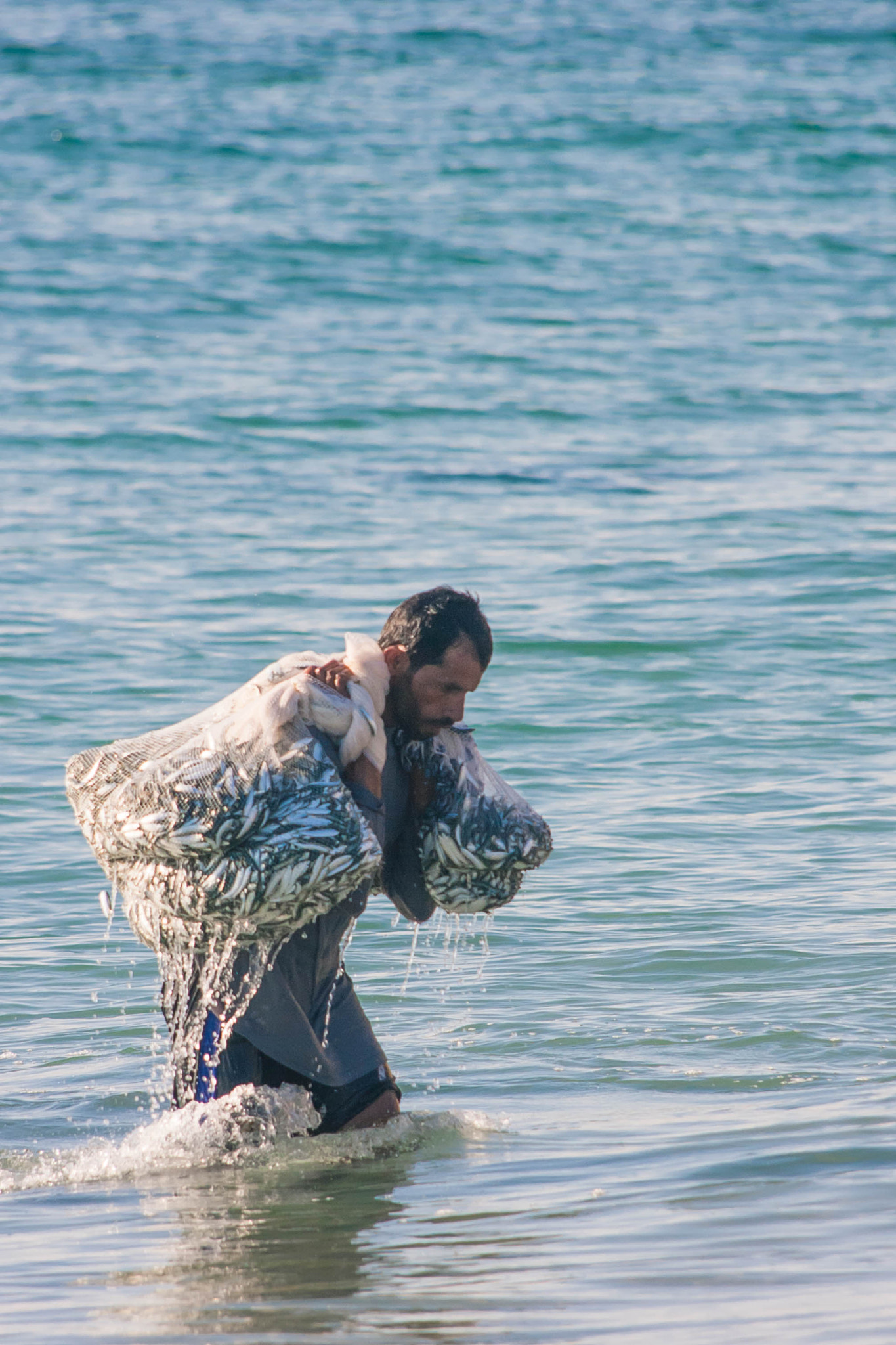 Canon EF 35-350mm F3.5-5.6L USM sample photo. Fisherman photography