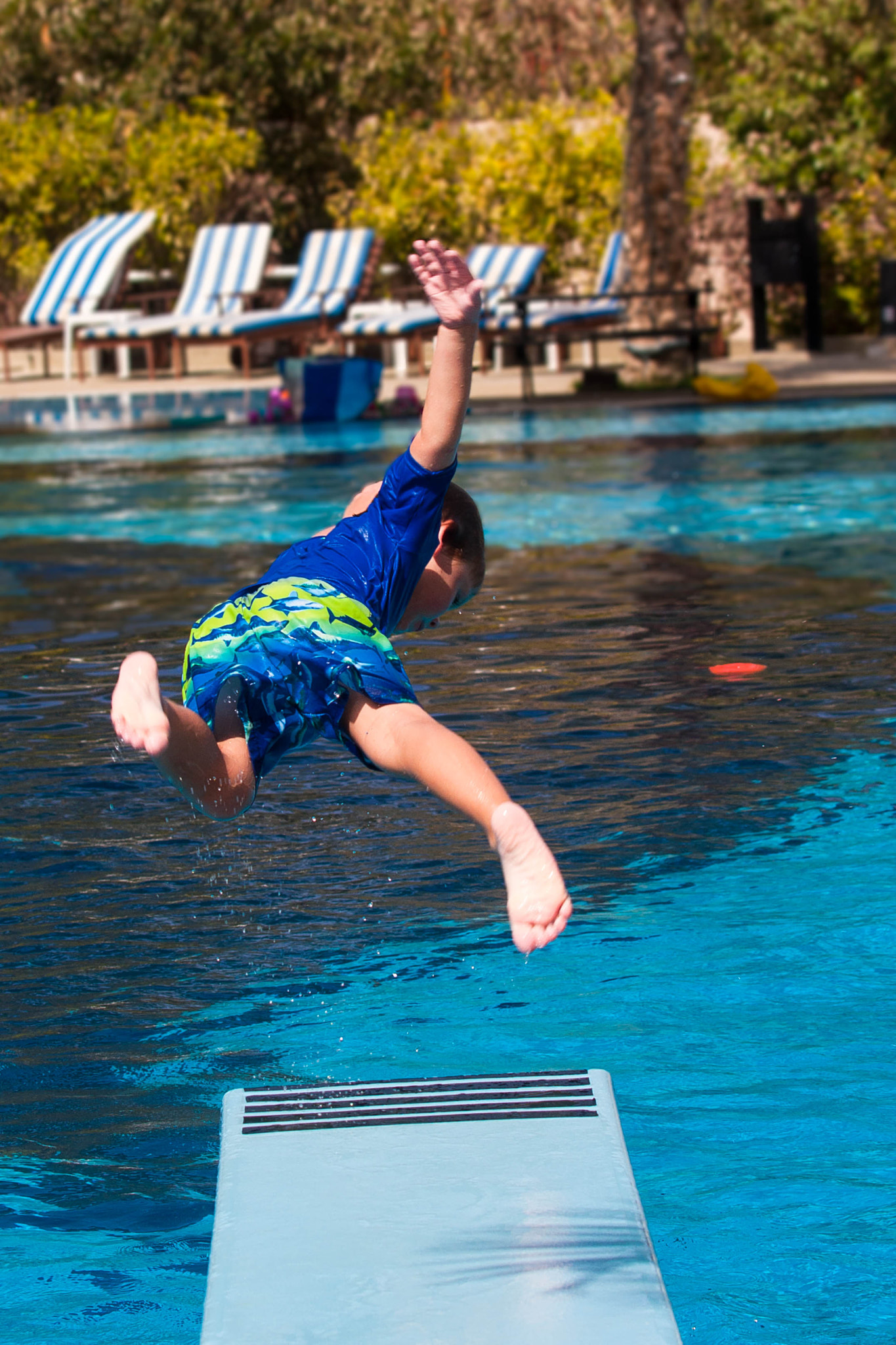 Canon EF 35-350mm F3.5-5.6L USM sample photo. The art of diving....not! photography