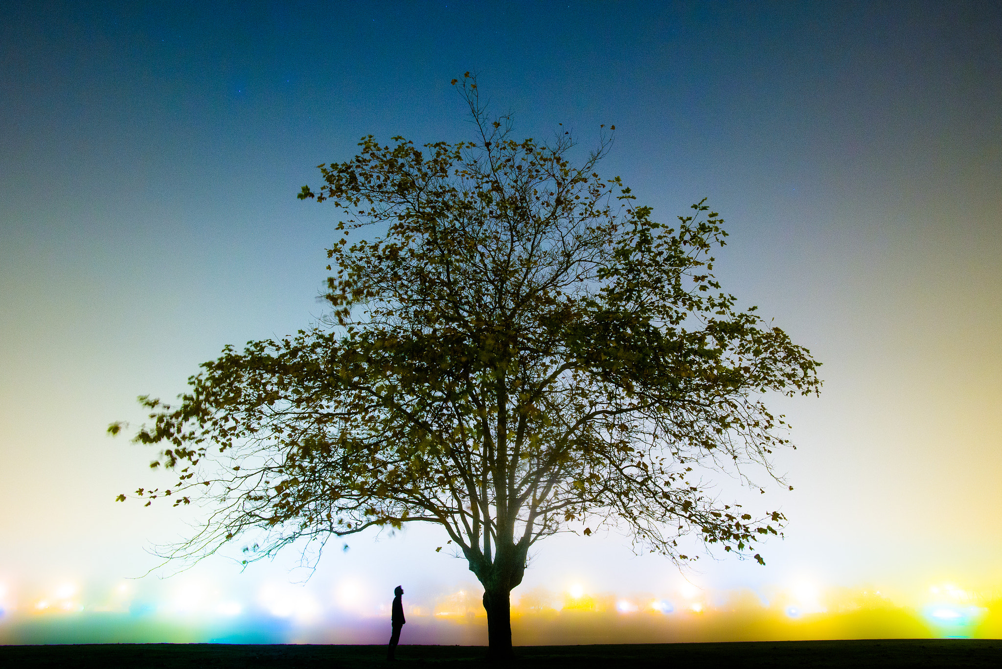 Nikon D600 sample photo. All the colours so out of reach. photography