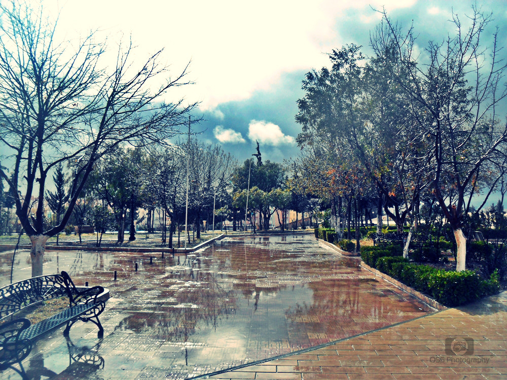Samsung PL100 /  TL205 / VLUU PL100 /  PL101 sample photo. University of djelfa - algeria photography
