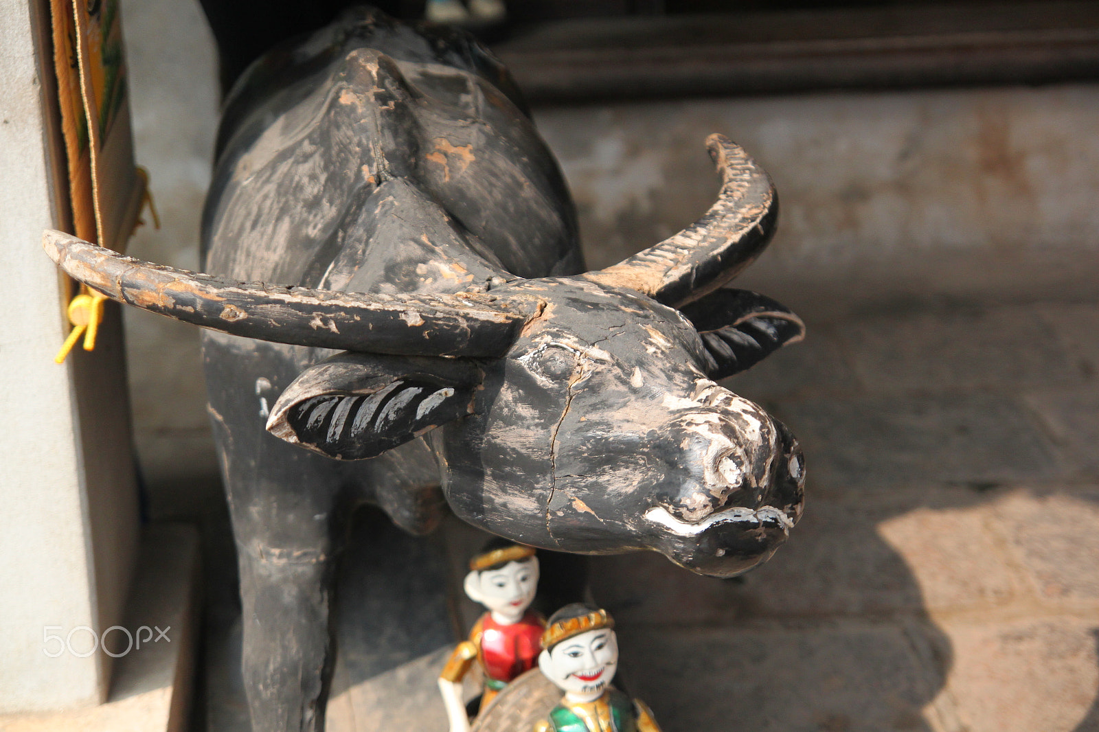Canon EOS 500D (EOS Rebel T1i / EOS Kiss X3) sample photo. Curiosity as always photography