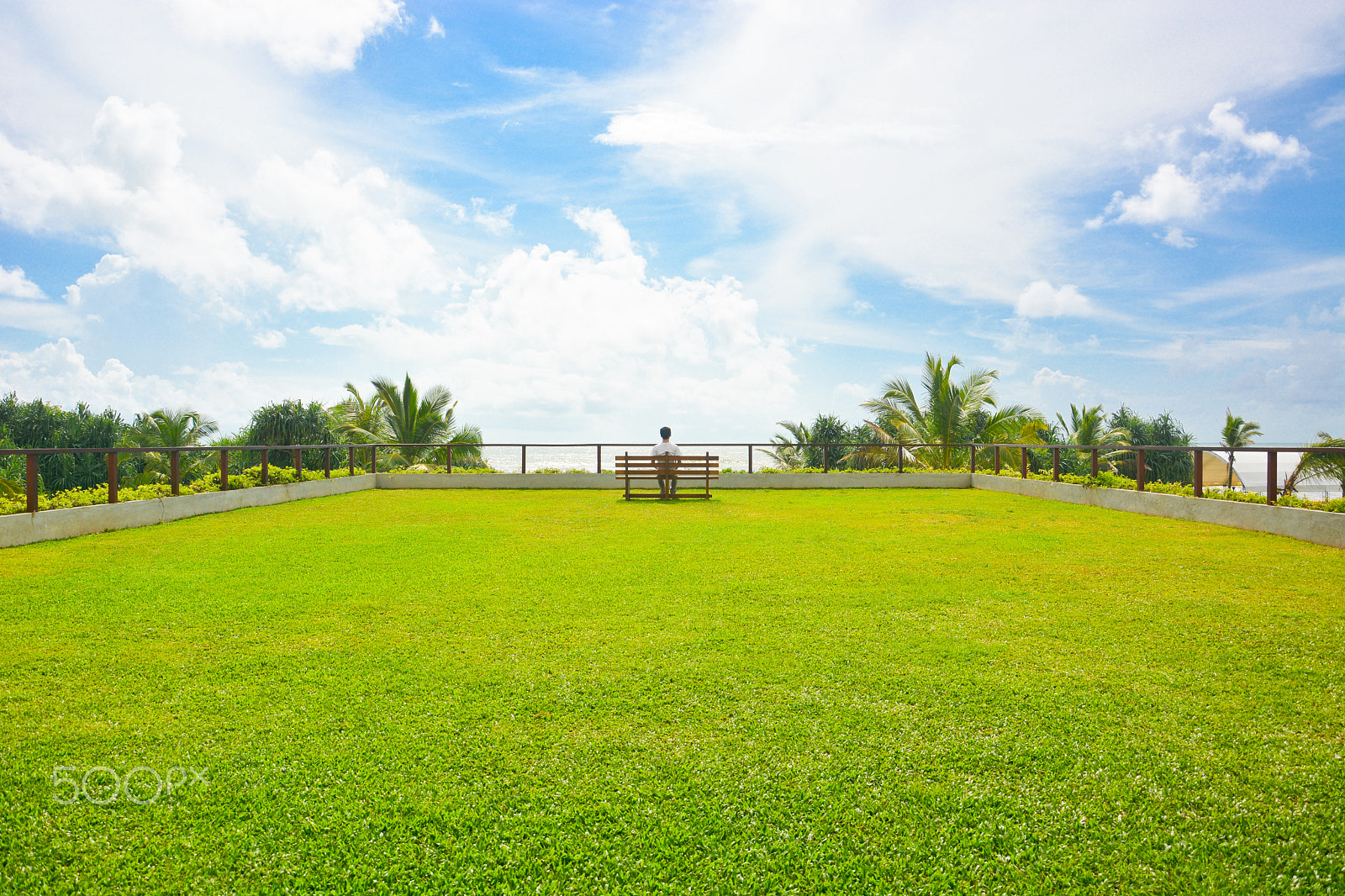 AF Zoom-Nikkor 35-105mm f/3.5-4.5D sample photo. Facing the sea with spring blossoms photography