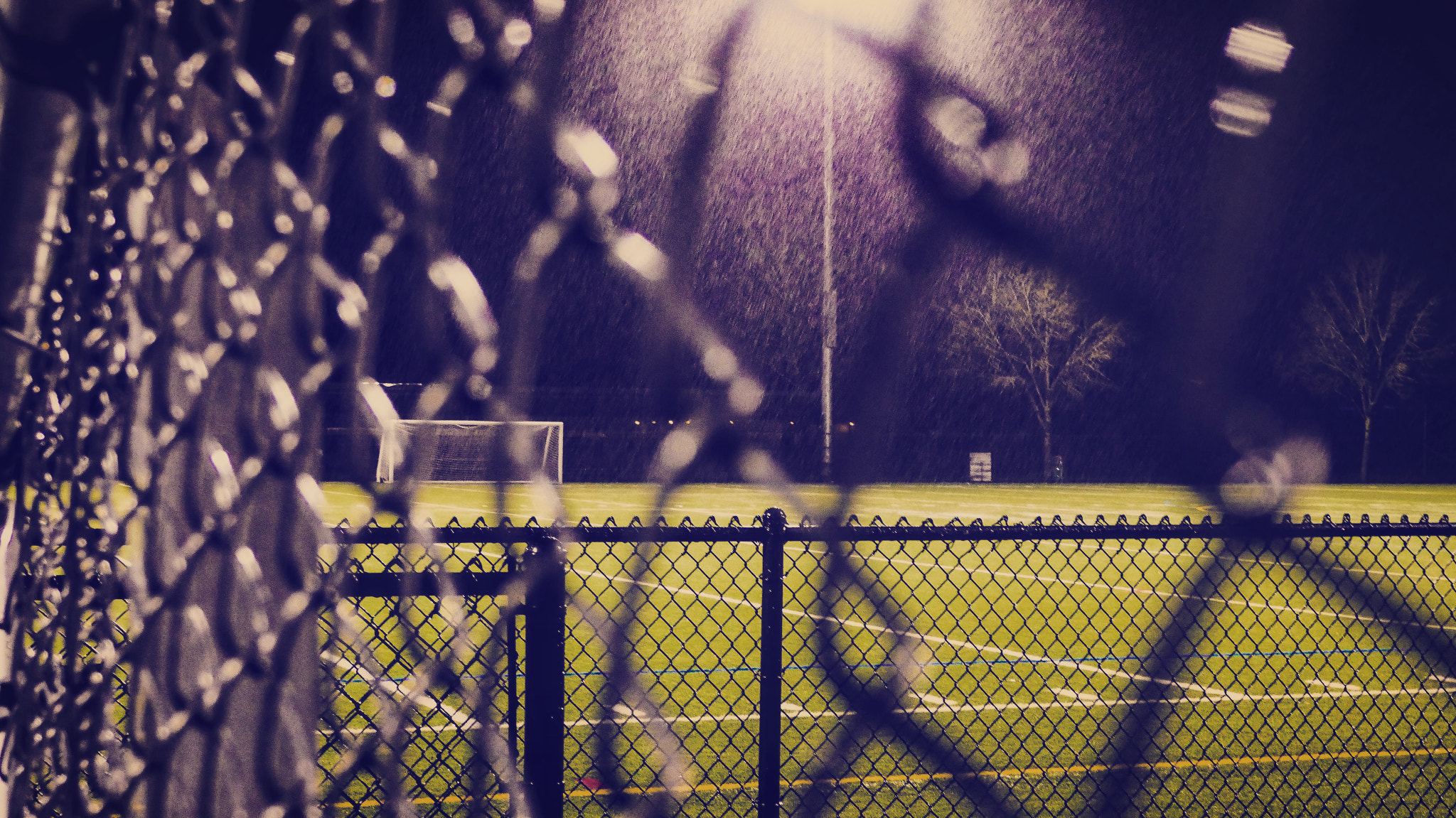 Panasonic Lumix DMC-GH4 + OLYMPUS M.12-50mm F3.5-6.3 sample photo. Through the fence the field photography