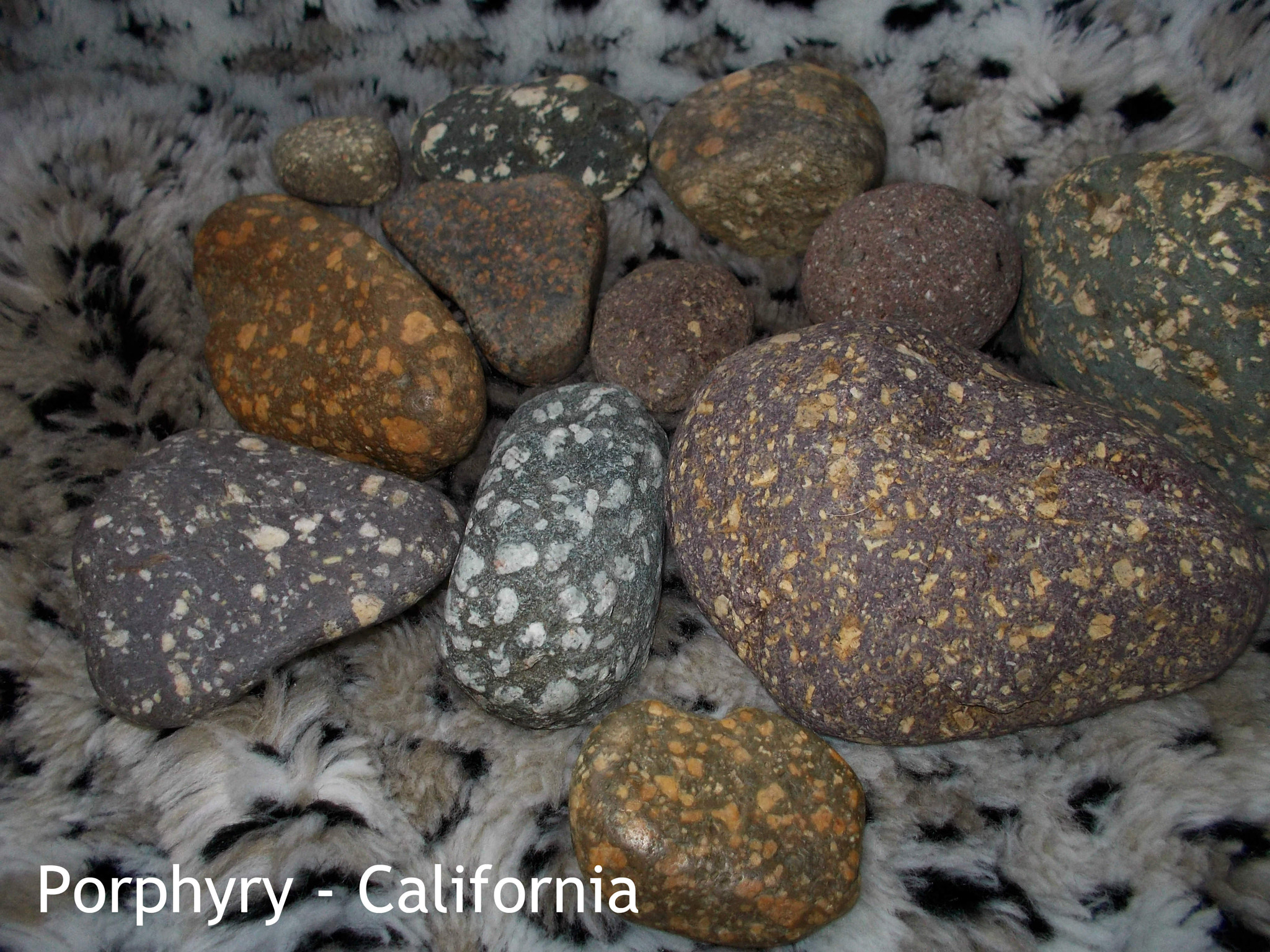 Nikon Coolpix S01 sample photo. California porphyry pebbles photography