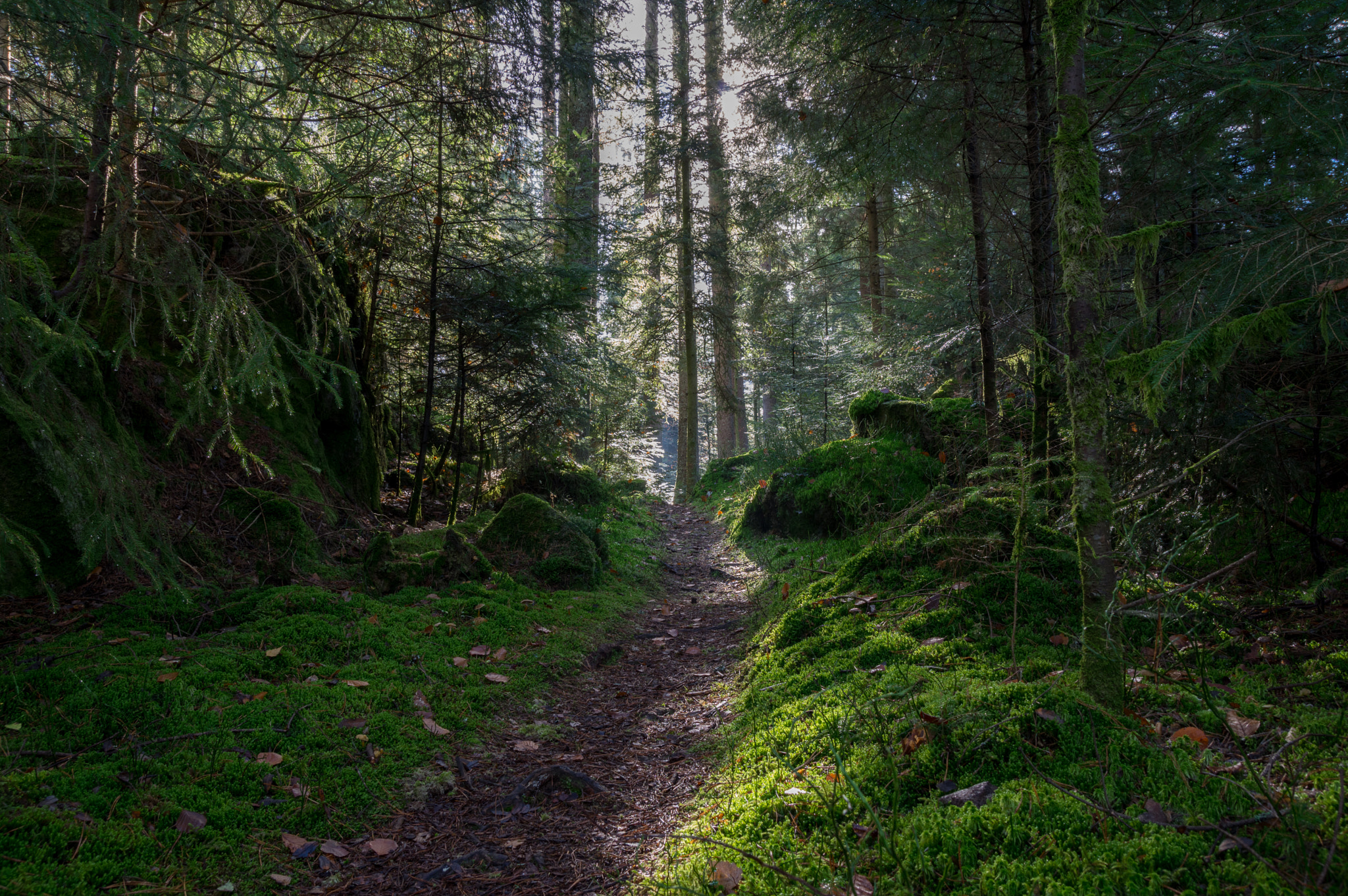 Pentax K-3 II sample photo. Narrow road photography