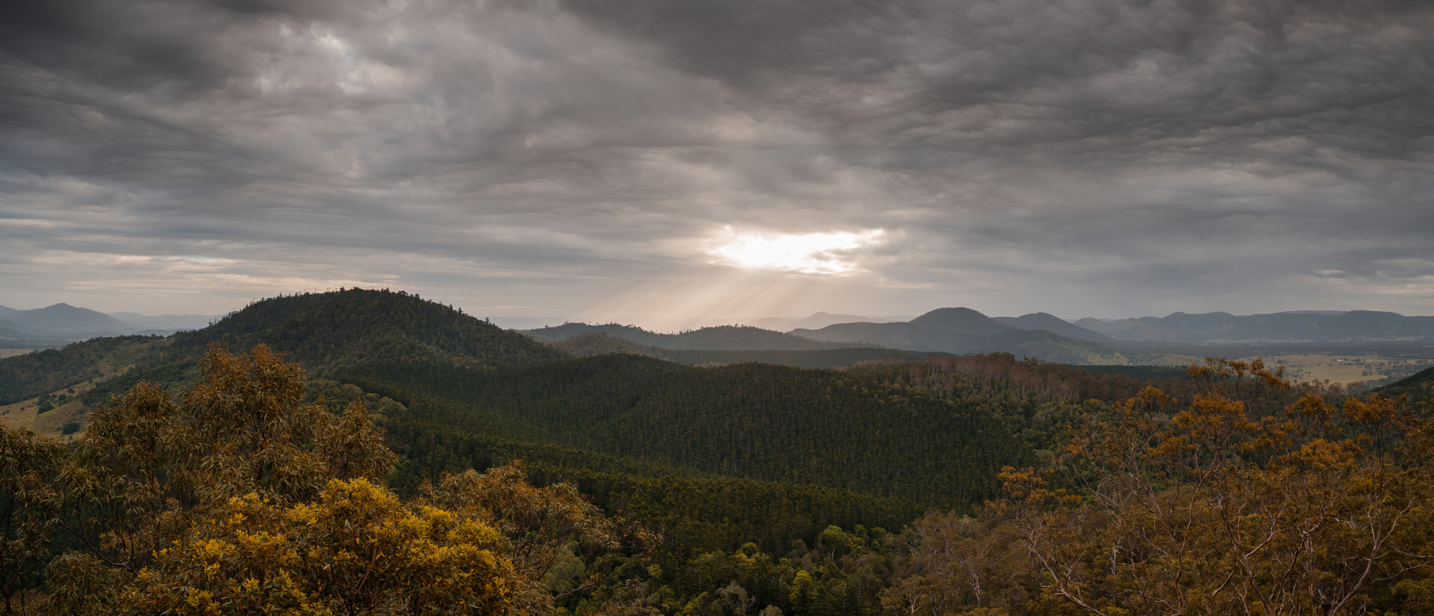 PENTAX-F 28-80mm F3.5-4.5 sample photo. Point pure photography