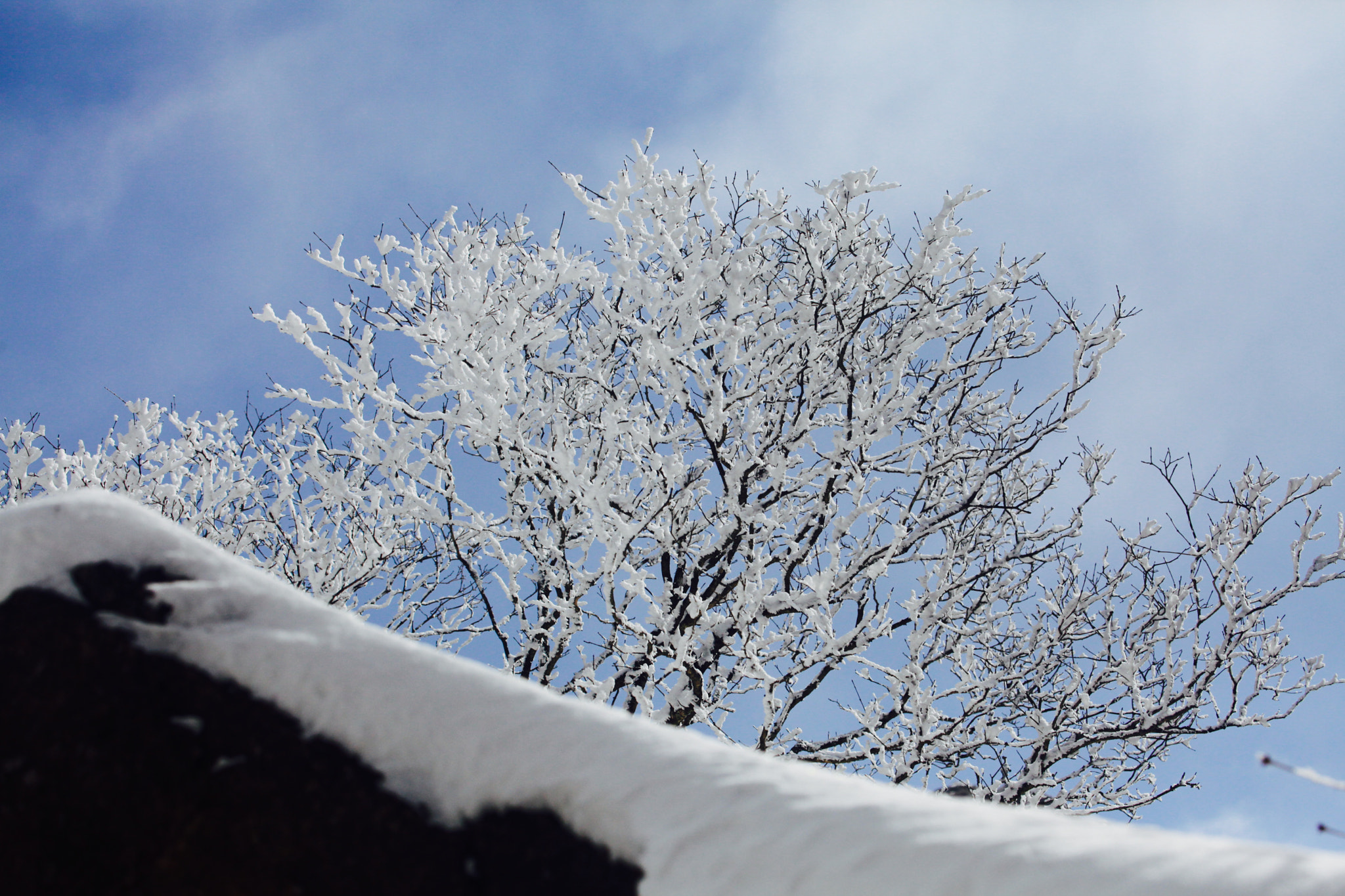 Canon EF 70-300mm F4-5.6L IS USM sample photo. 黄山雪景 photography