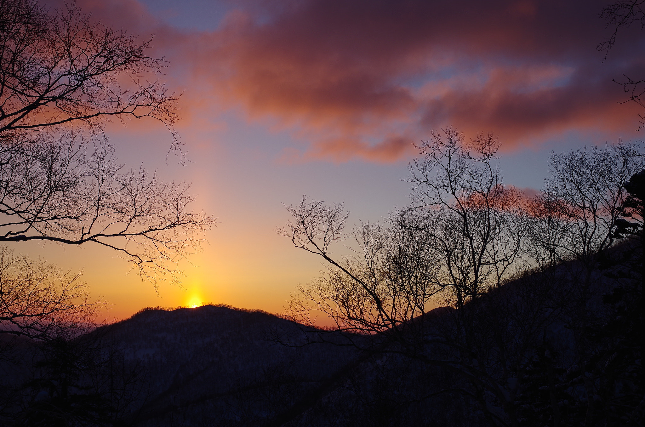 Pentax K-30 + Pentax smc DA 35mm F2.4 AL sample photo. Mt.oshiki photography