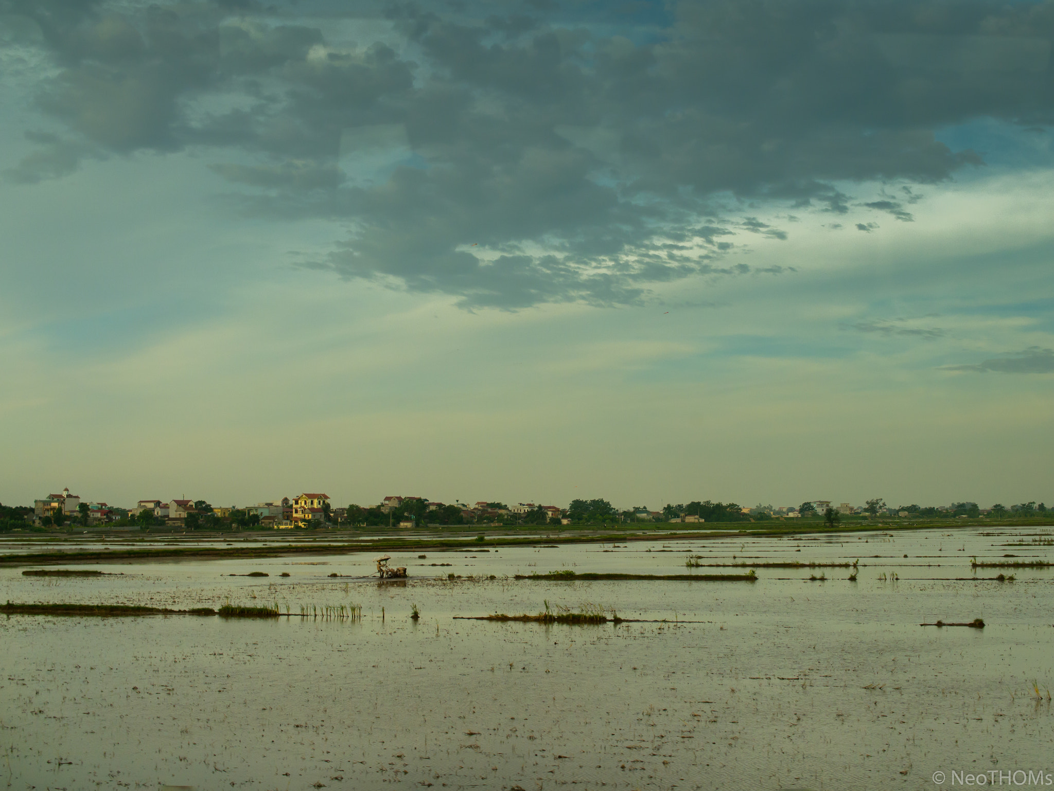 Panasonic Lumix DMC-GF6 + Olympus M.Zuiko Digital 25mm F1.8 sample photo. Rice fields in vietnam photography