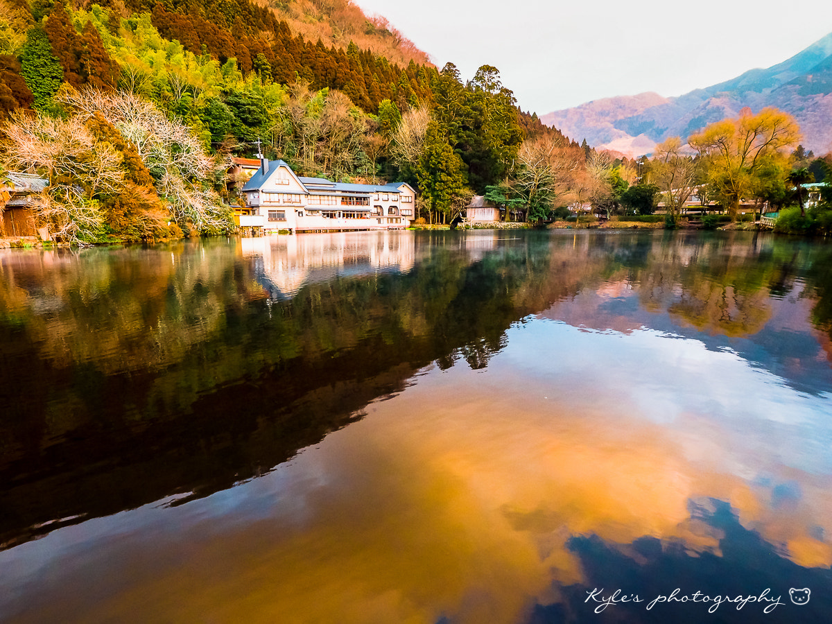 Olympus Zuiko Digital ED 9-18mm F4.0-5.6 sample photo. 金鱗湖 photography