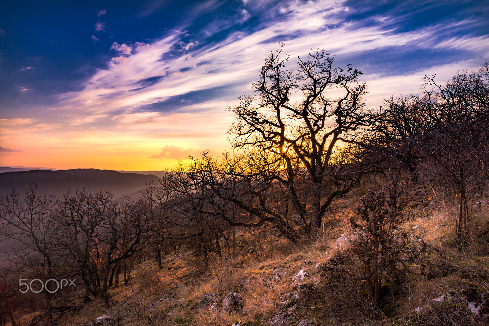 Nikon D600 + Sigma 24-70mm F2.8 EX DG Macro sample photo. Sunset photography