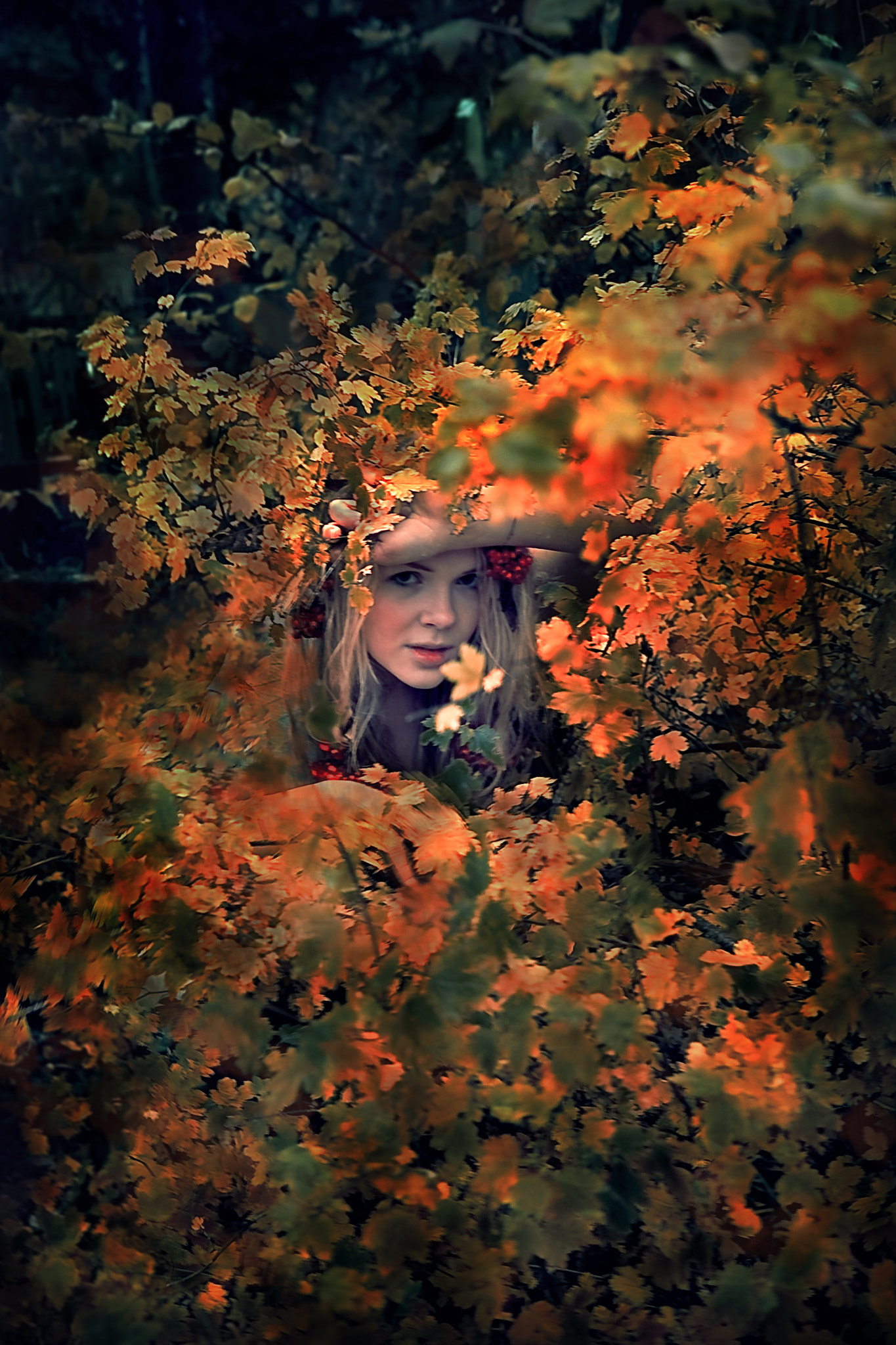 Canon EF-S 17-55mm F2.8 IS USM sample photo. Icelandic fairy tales photography