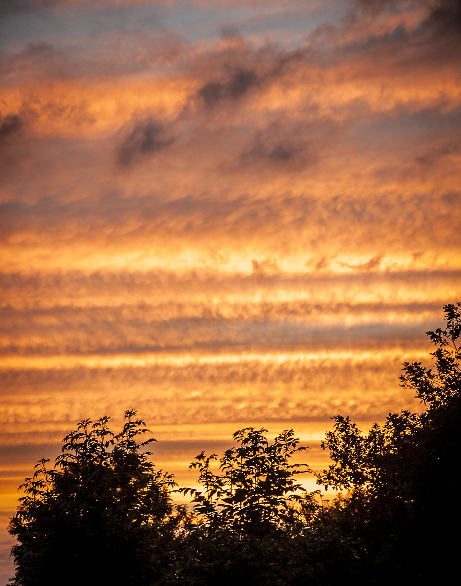 Nikon D70 + Sigma 18-125mm F3.8-5.6 DC HSM sample photo. Next day, the dawn was a brilliant, fiery red... photography