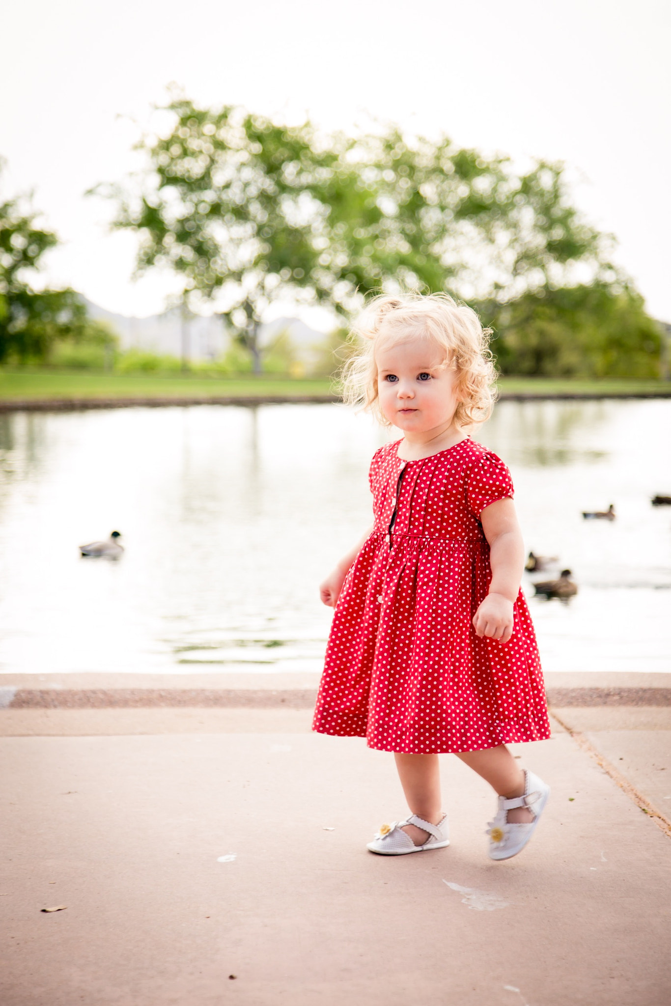 Livie and the Ducks