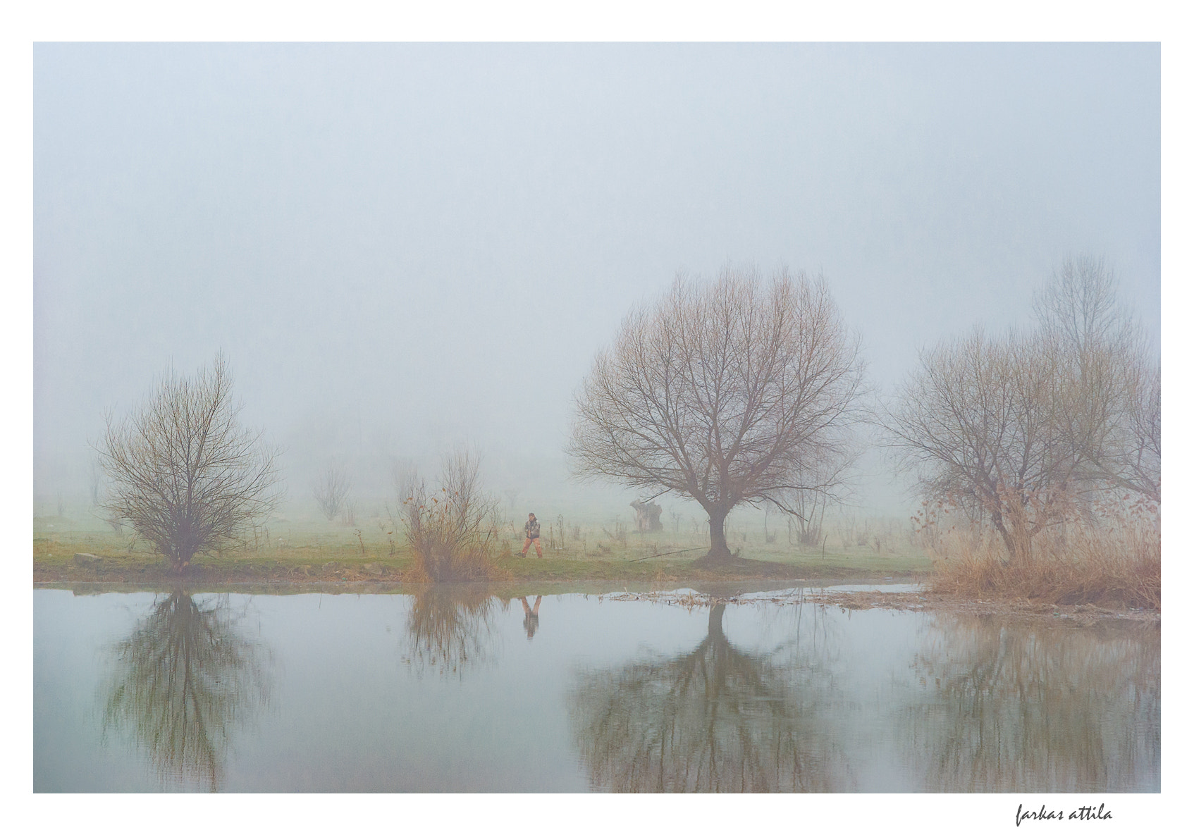 Nikon D60 sample photo. The estuary... photography