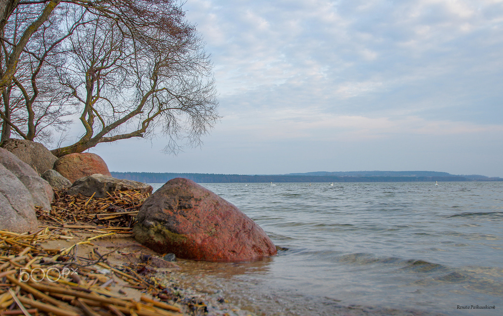 Pentax K-3 sample photo. Dusia photography