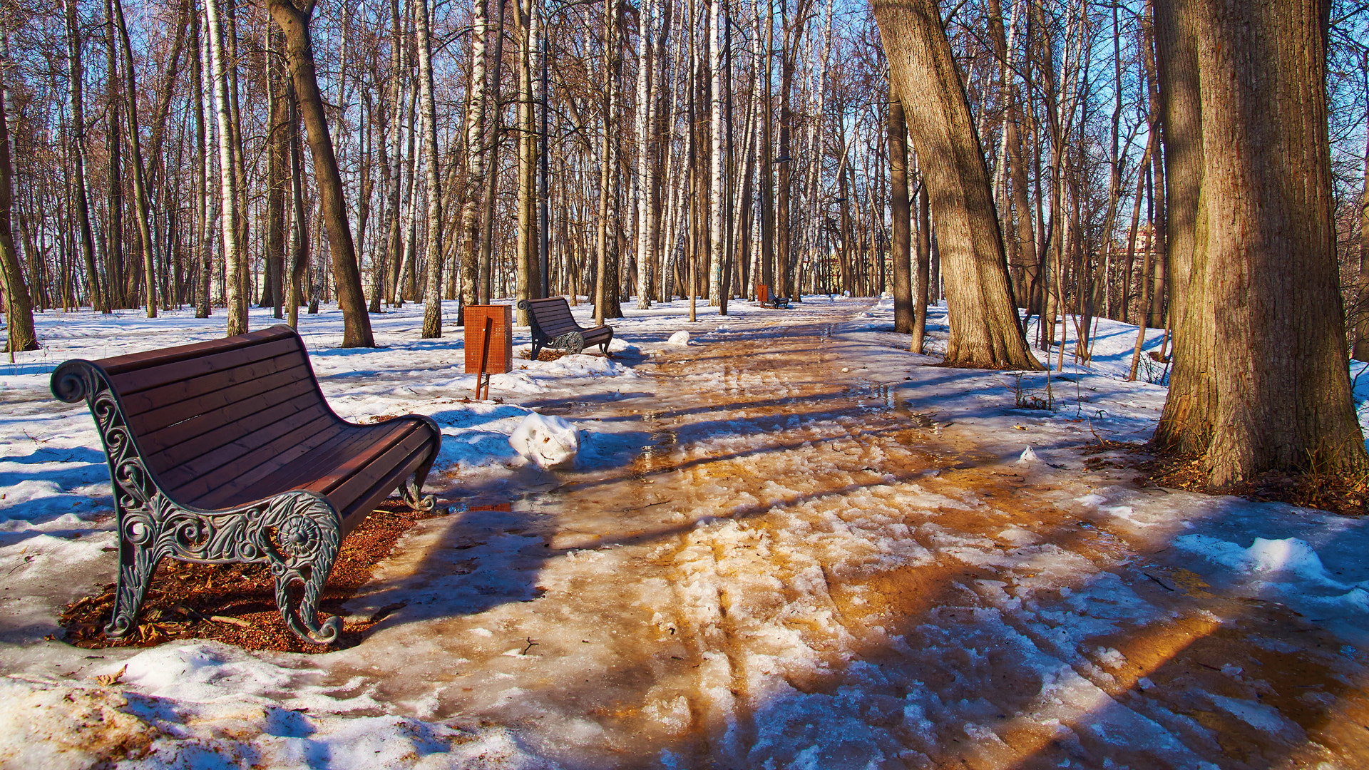 Sony SLT-A35 sample photo. Март photography