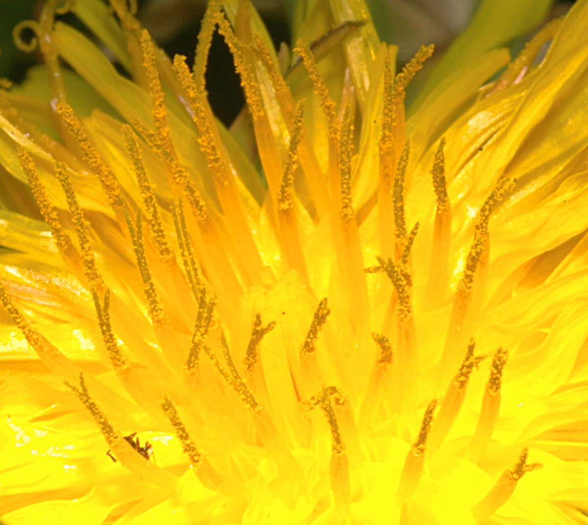 AF Zoom-Nikkor 35-70mm f/3.3-4.5 N sample photo. # photography
