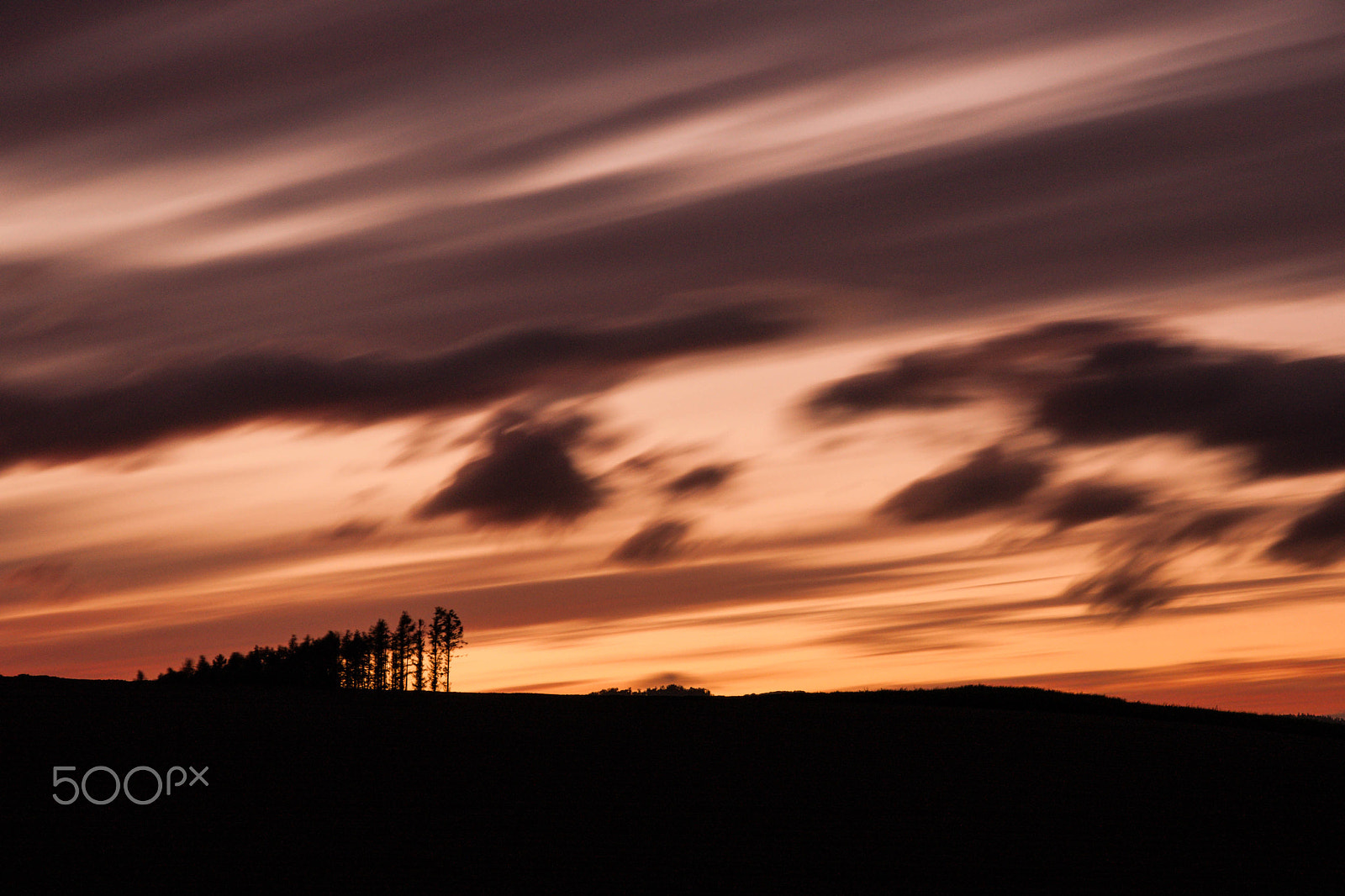 Sony Alpha DSLR-A700 sample photo. Autumn breeze photography