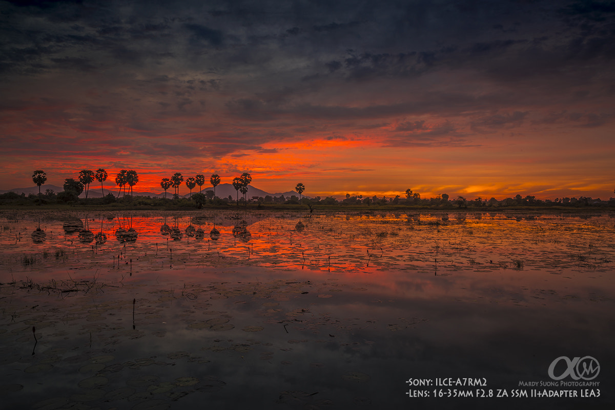 Sony Vario-Sonnar T* 16-35mm F2.8 ZA SSM II sample photo. 1st sony digital workshop ! (ខេត្តកំពង់ស្ពឺ) photography