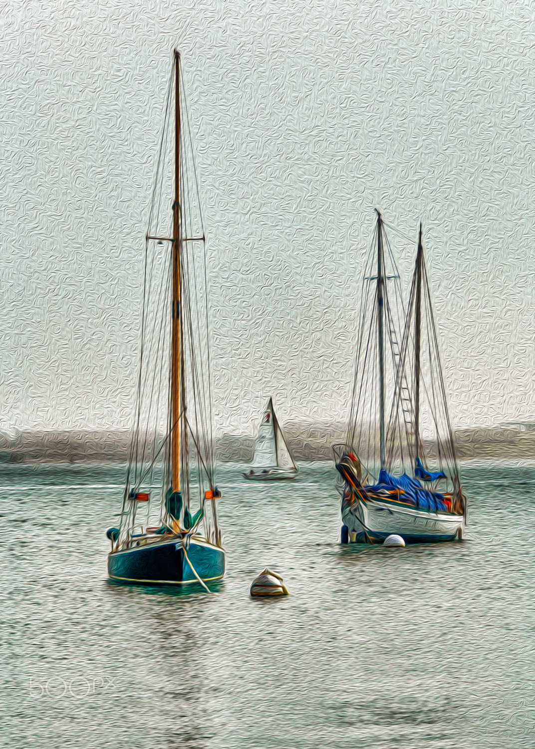 Nikon D2X sample photo. Sand diego bay trio photography