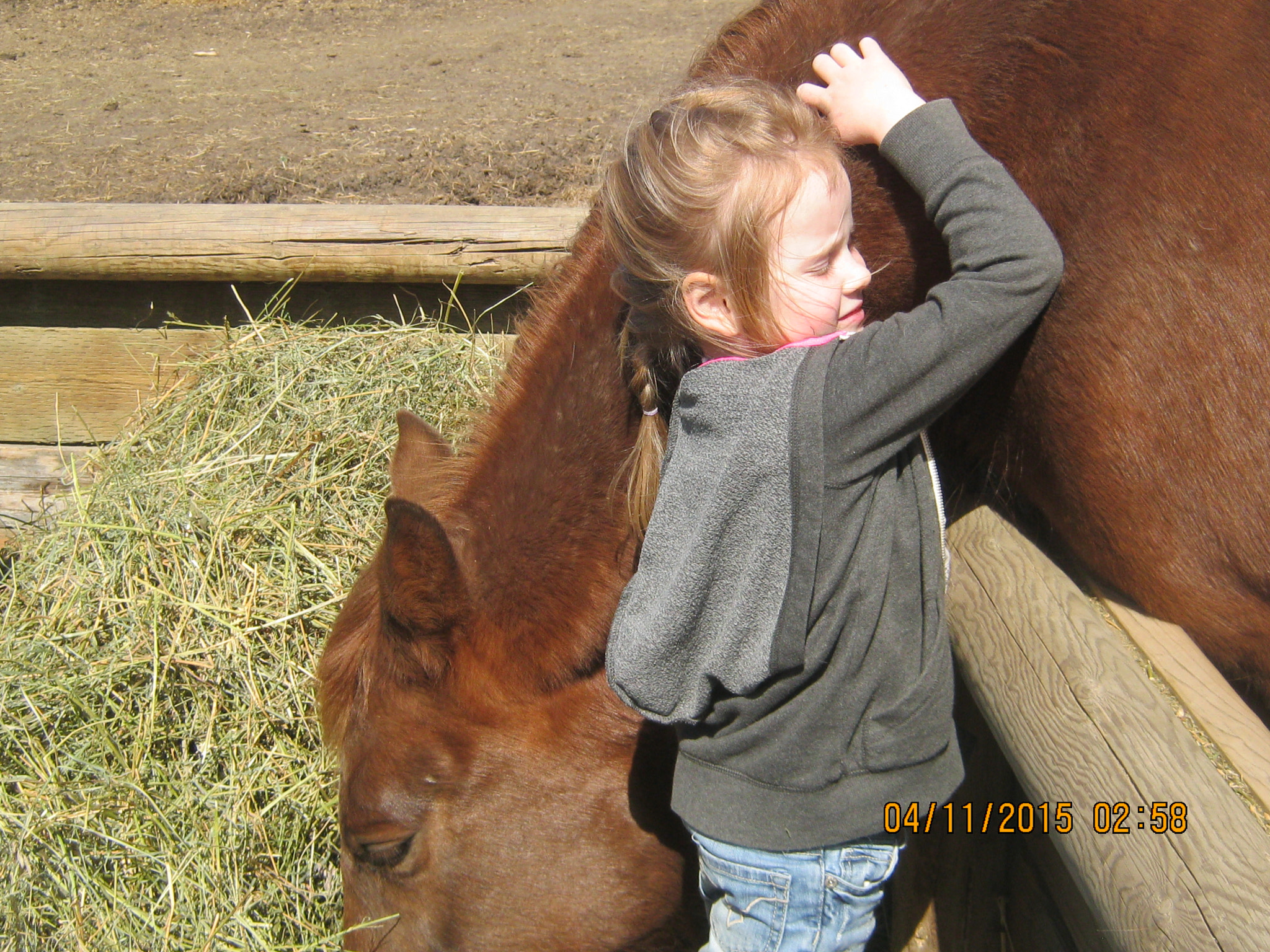 Canon PowerShot A800 sample photo. Sky and grandma day at the farms () photography