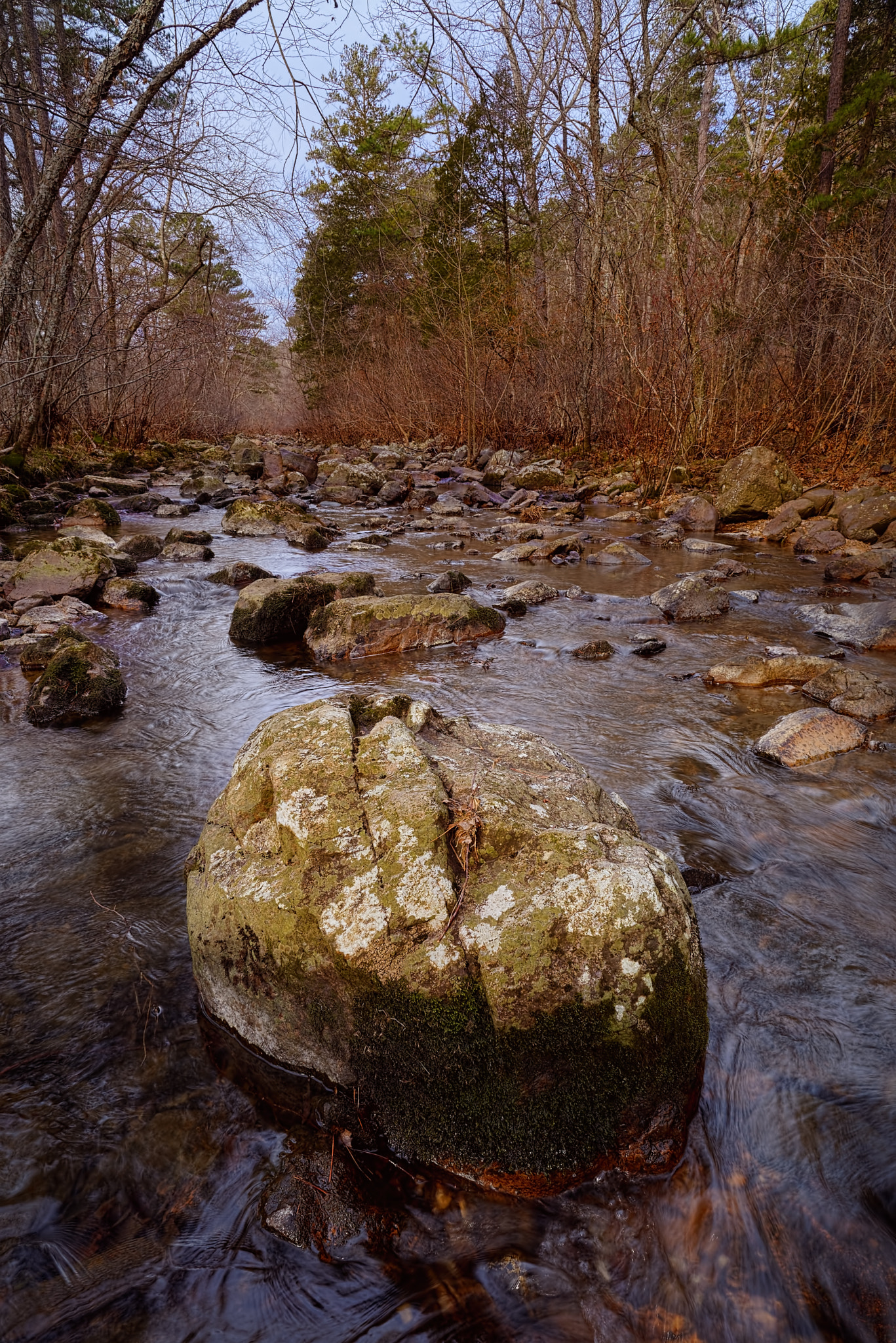 Nikon D600 + Nikon AF Nikkor 20mm F2.8D sample photo. Weiss shut-ins photography