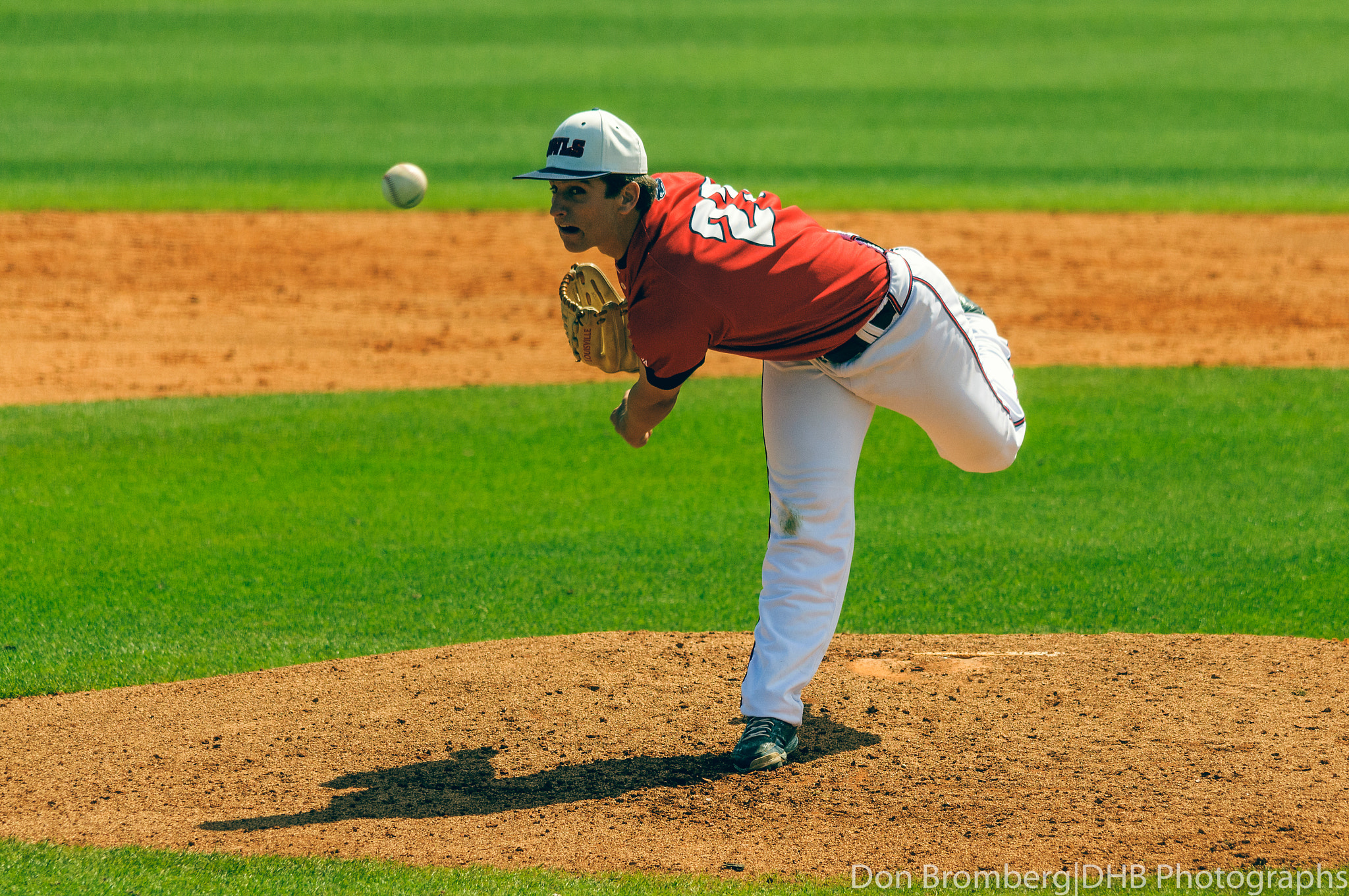 Sigma 150-500mm F5-6.3 DG OS HSM sample photo. The pitch photography