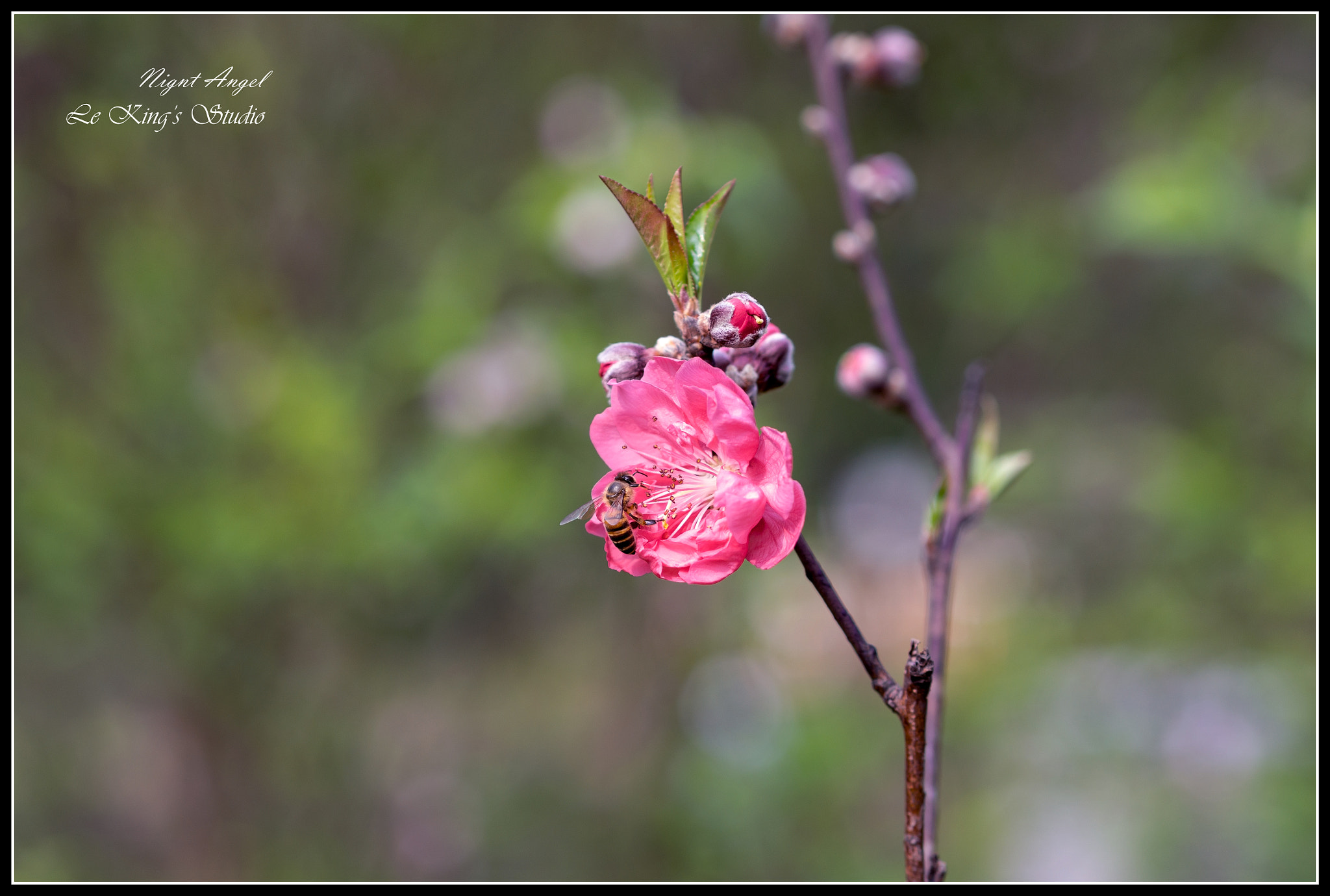 Olympus PEN E-PL6 + Olympus M.Zuiko Digital 45mm F1.8 sample photo. Win together 雙贏 photography