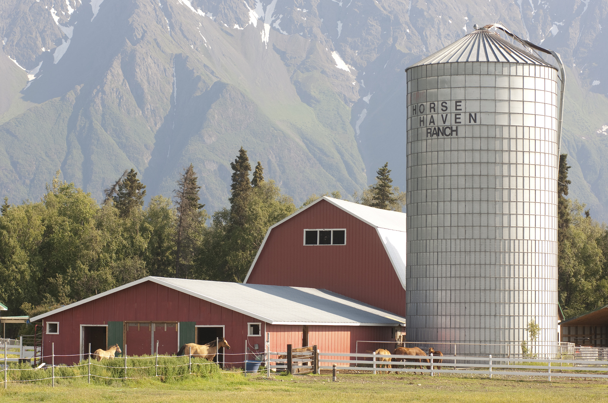 Nikon D2X sample photo. Farm in alaska photography