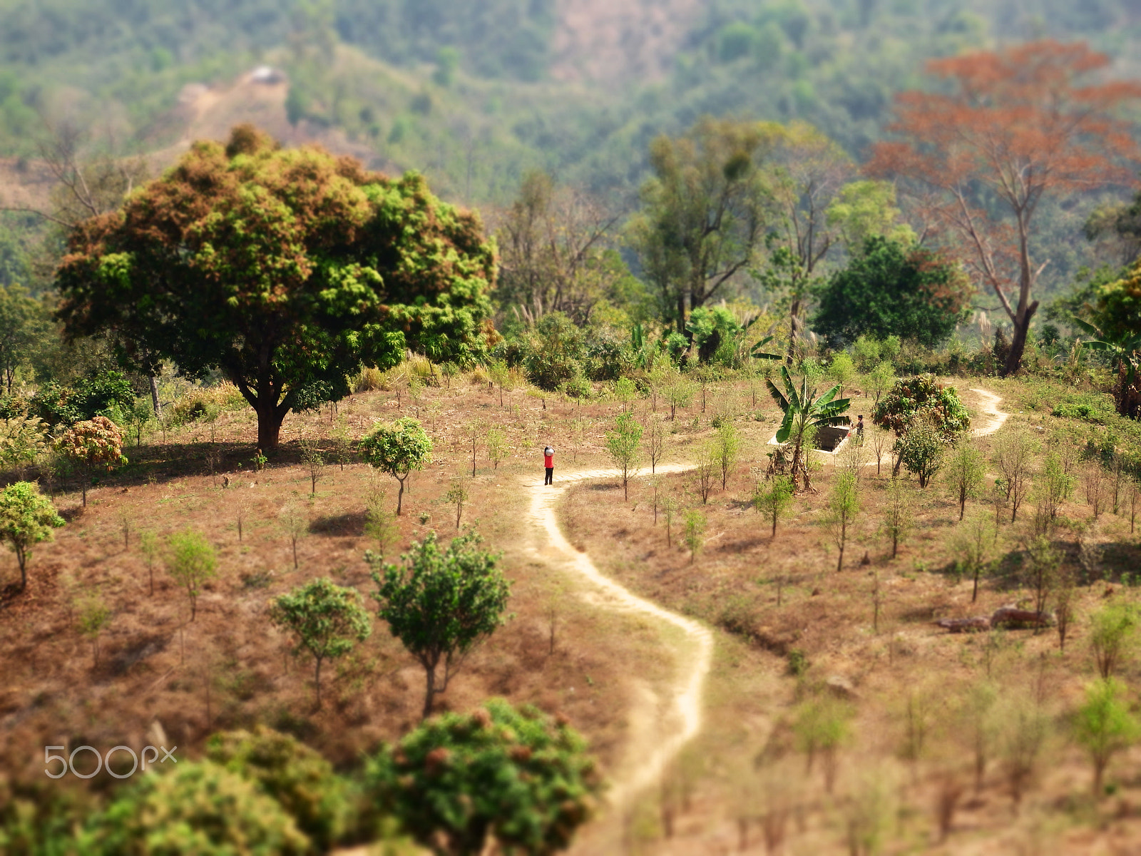 Olympus SZ-16,DZ-105 sample photo. Mountain road photography