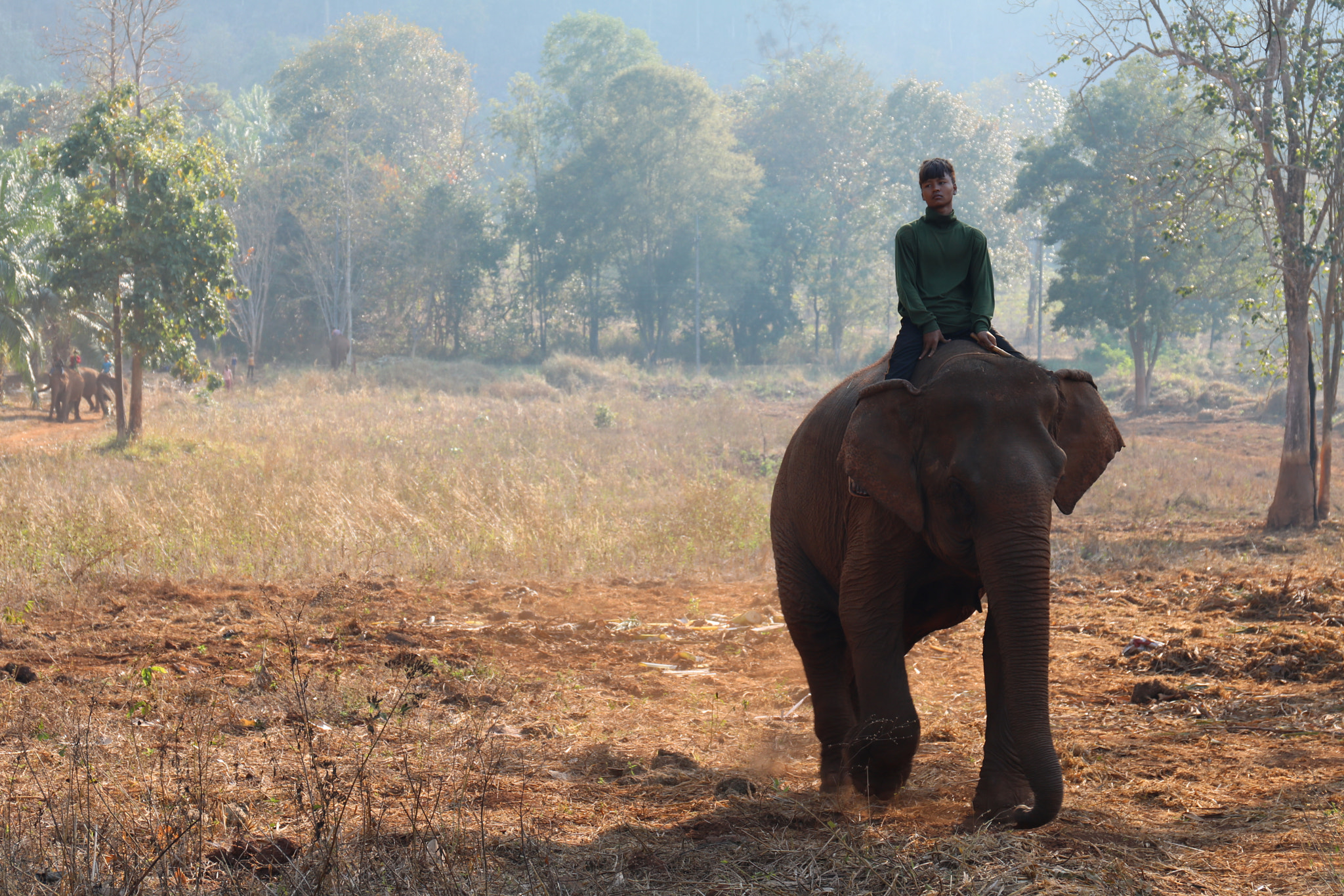 Canon EF 24-70mm F4L IS USM sample photo. A mahout with an elephant photography