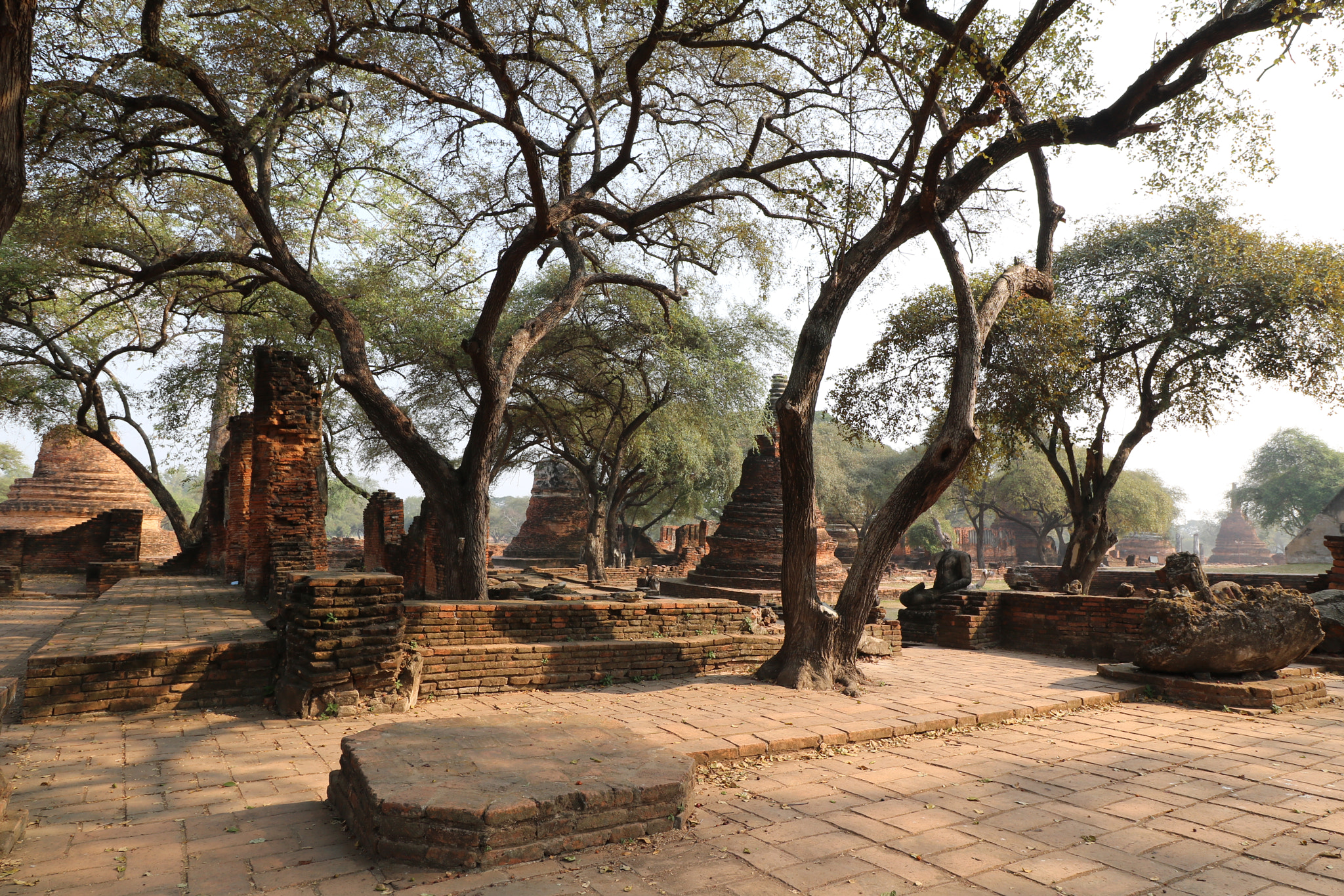 Canon EF-S 10-18mm F4.5–5.6 IS STM sample photo. Ayuttaya ruins photography