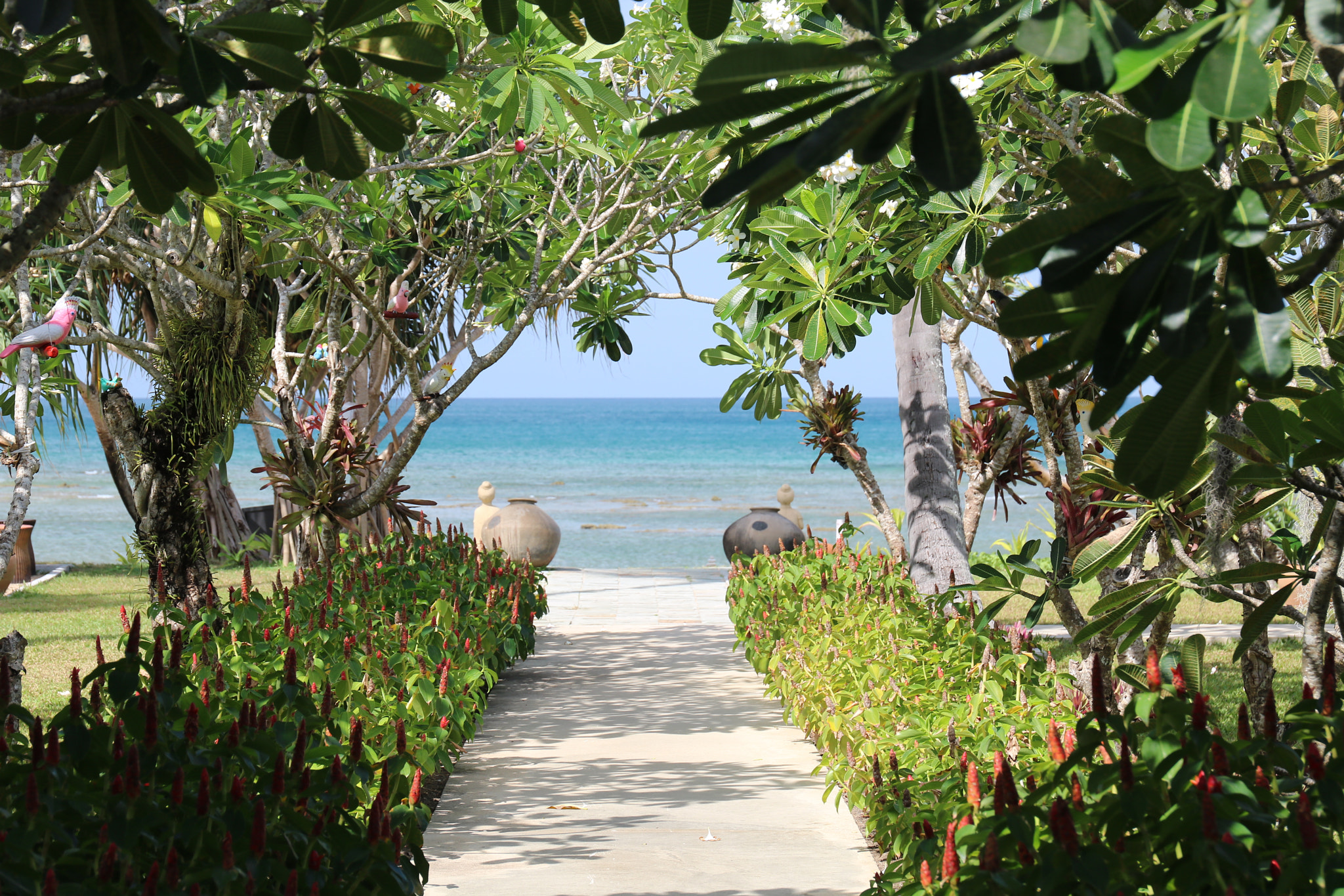 Canon EF 24-70mm F4L IS USM sample photo. Path to the sea photography