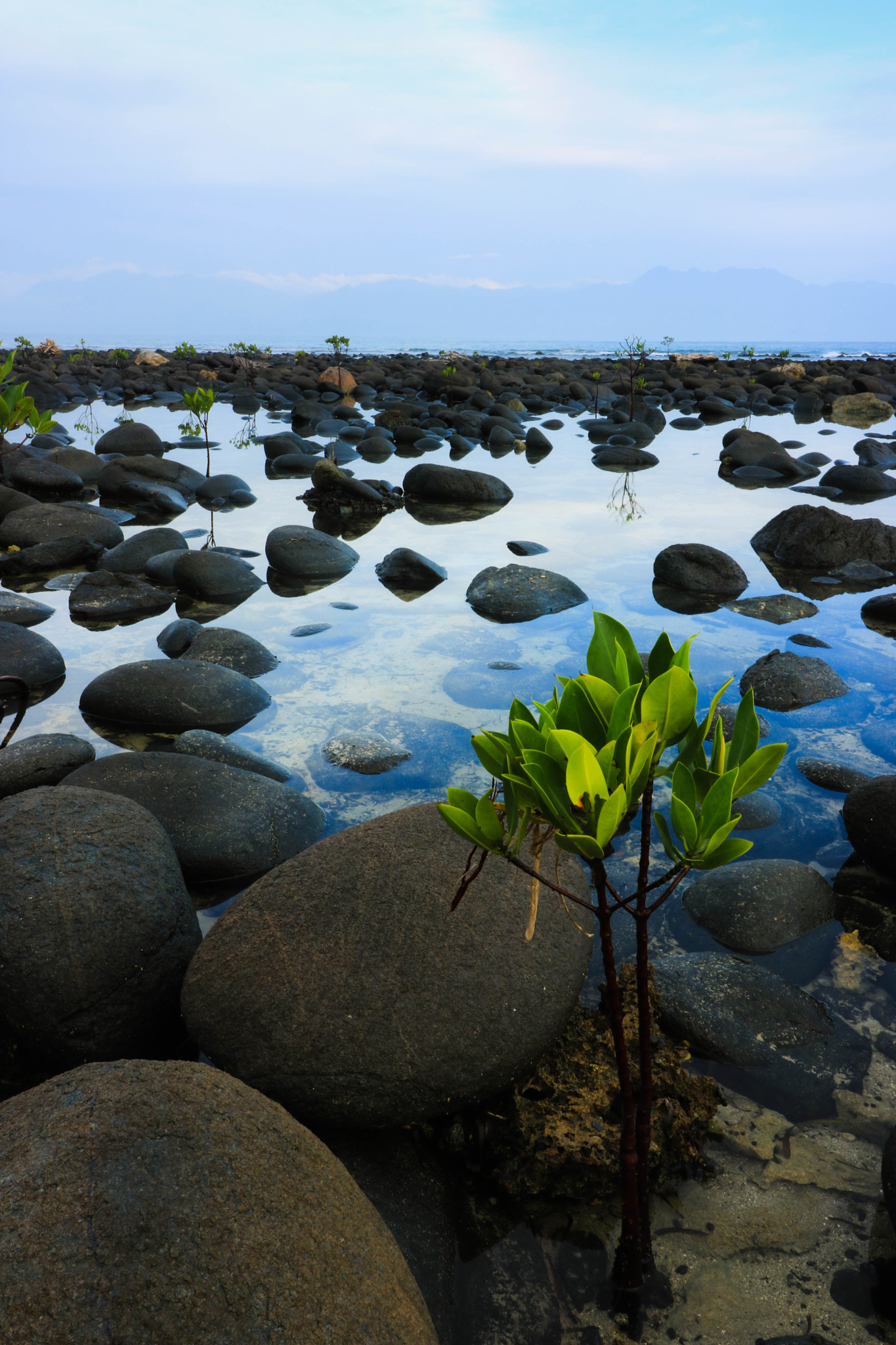 Canon EF-S 10-18mm F4.5–5.6 IS STM sample photo. Lukso lukso islet, baler, aurora, philippines photography
