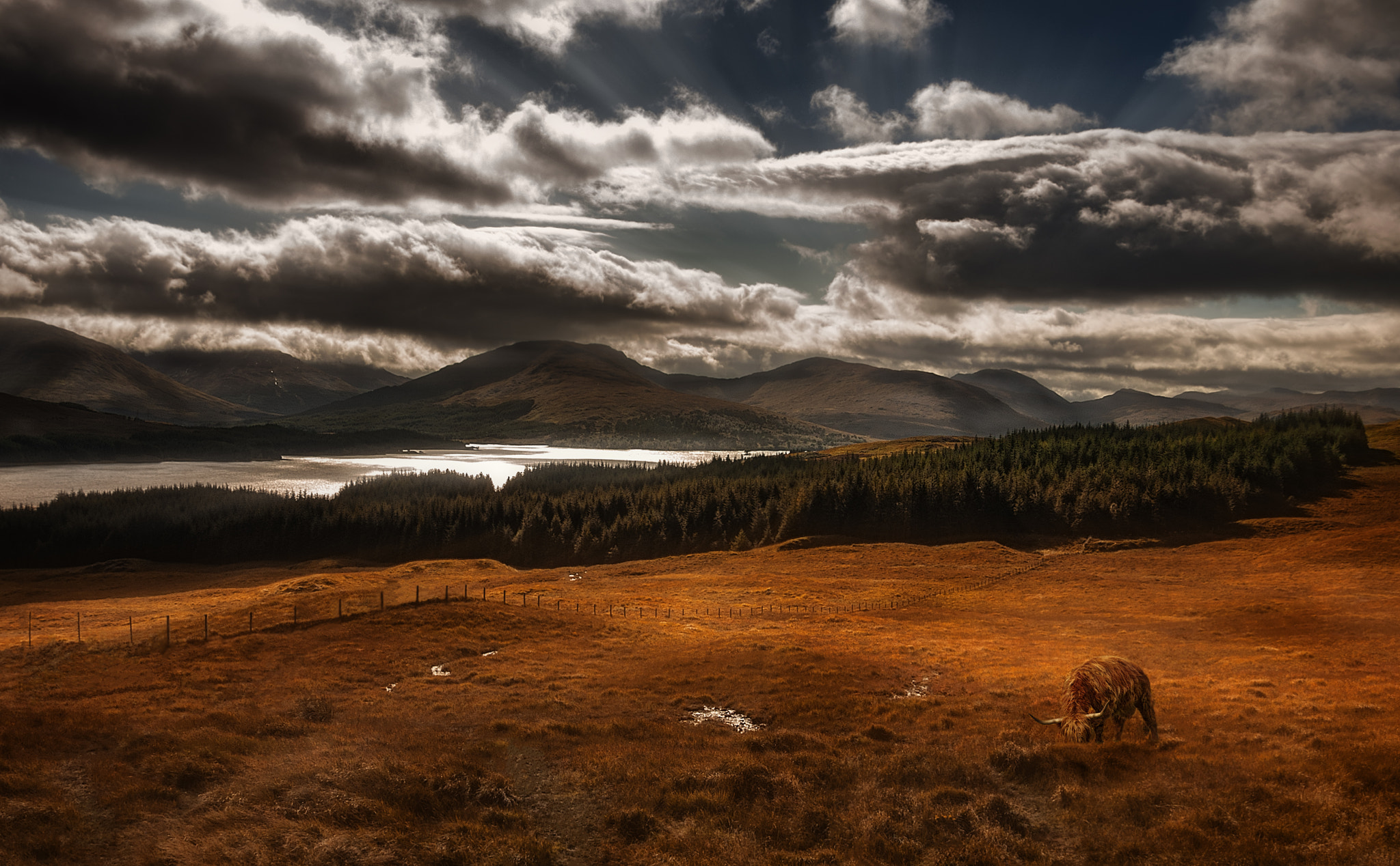 Sony Alpha DSLR-A700 sample photo. Highlands photography
