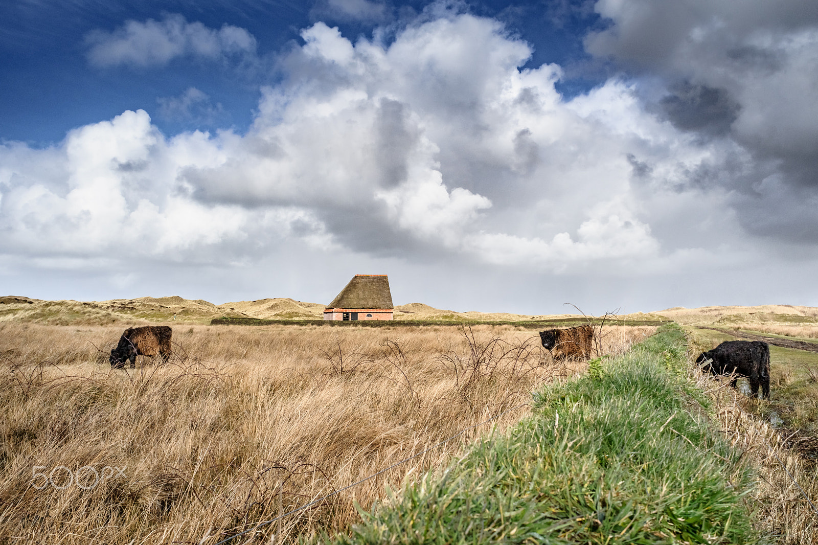 Sony Alpha DSLR-A900 + Sony 28mm F2.8 sample photo. Traditional sheep barn in a nature reserve at cloudy day photography